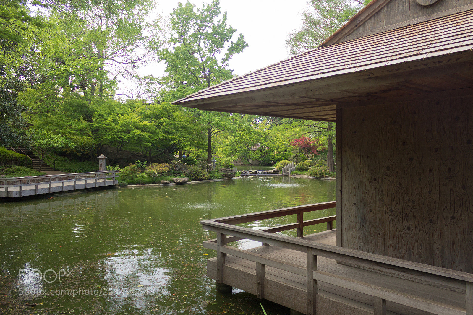 Canon EOS 1200D (EOS Rebel T5 / EOS Kiss X70 / EOS Hi) sample photo. Clift ft. worth japanesegarden photography