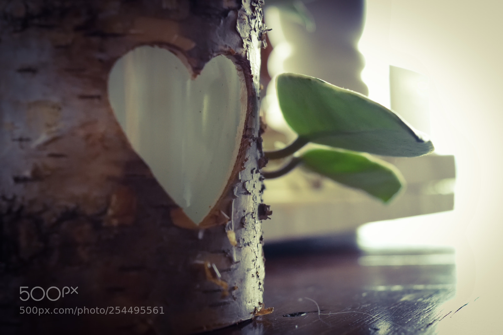 Nikon D3300 sample photo. Wood heart candle holder photography