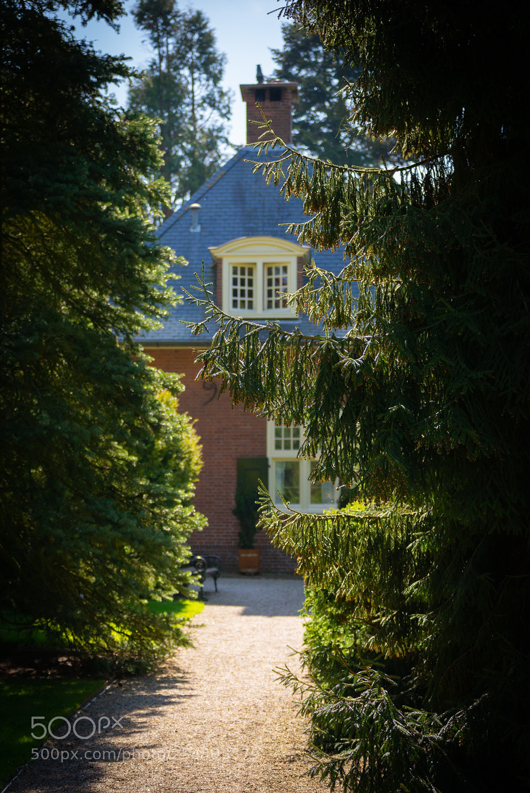 Nikon D610 sample photo. House at the entrance photography