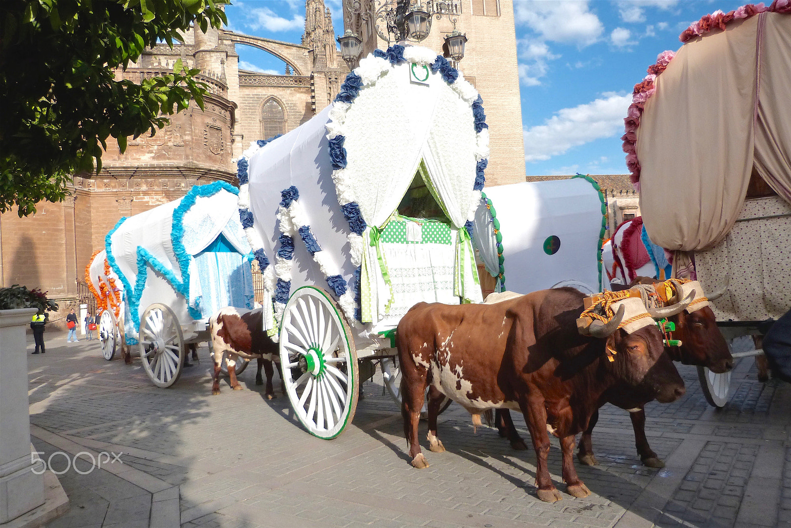 Panasonic Lumix DMC-FZ47 (Lumix DMC-FZ48) sample photo. Wagons of the romería del rocío photography