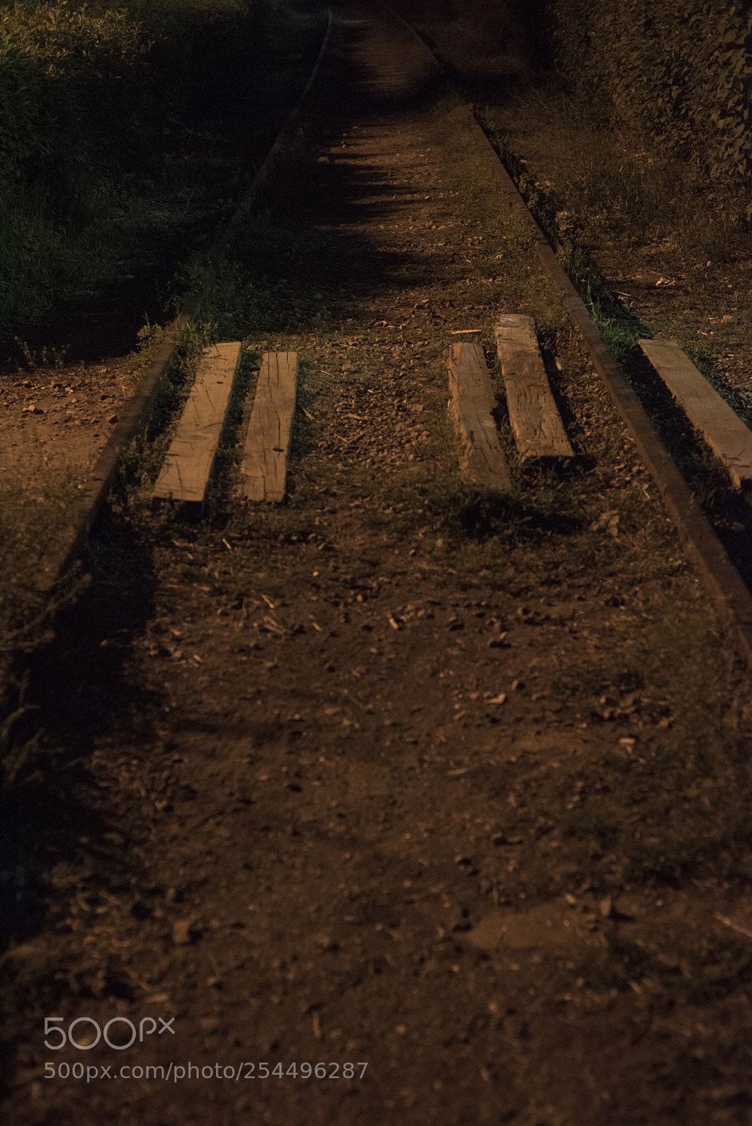Nikon D810 sample photo. On the railroad 3 photography