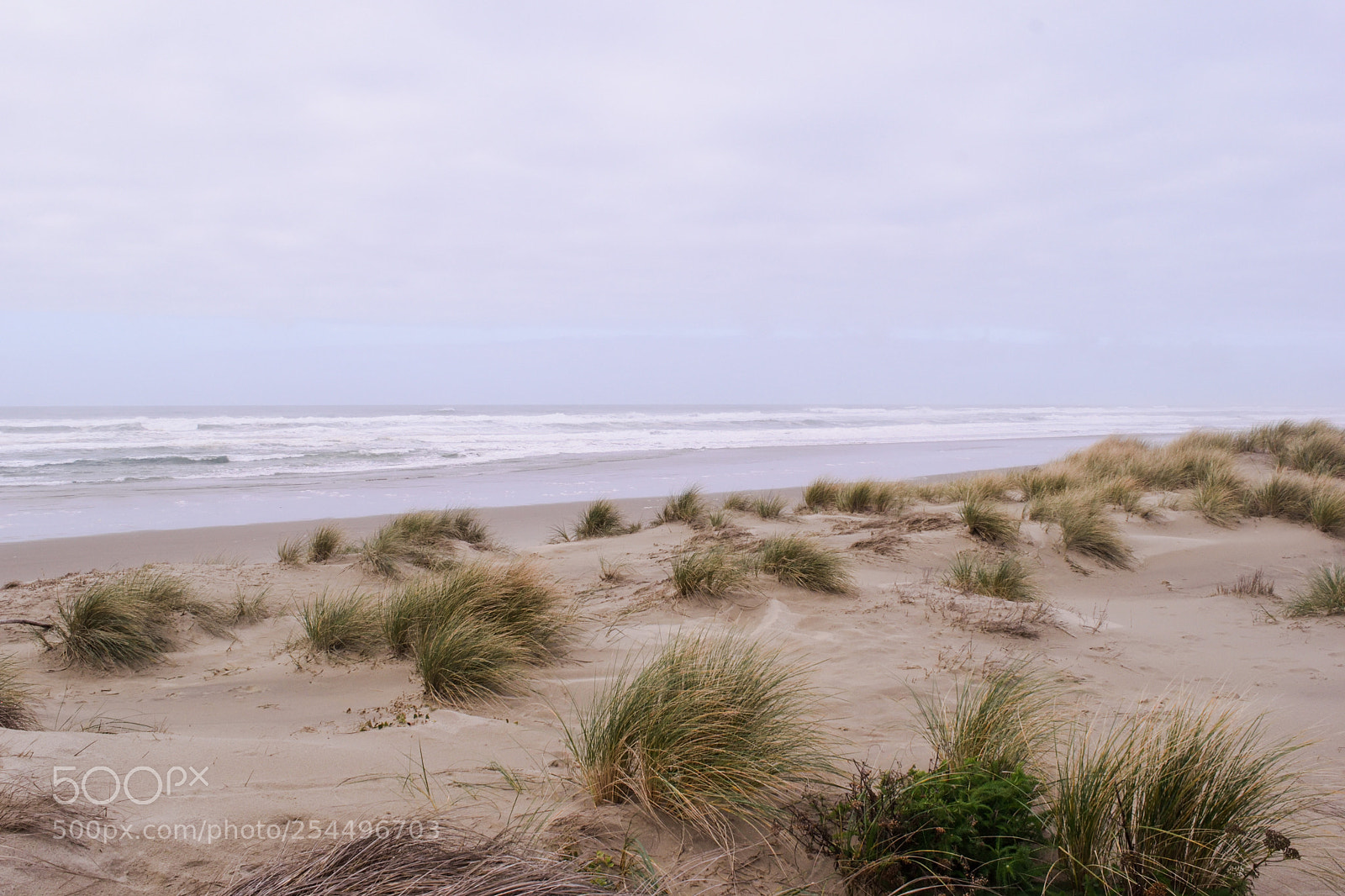 Nikon D3300 sample photo. Oregon coastal photo photography
