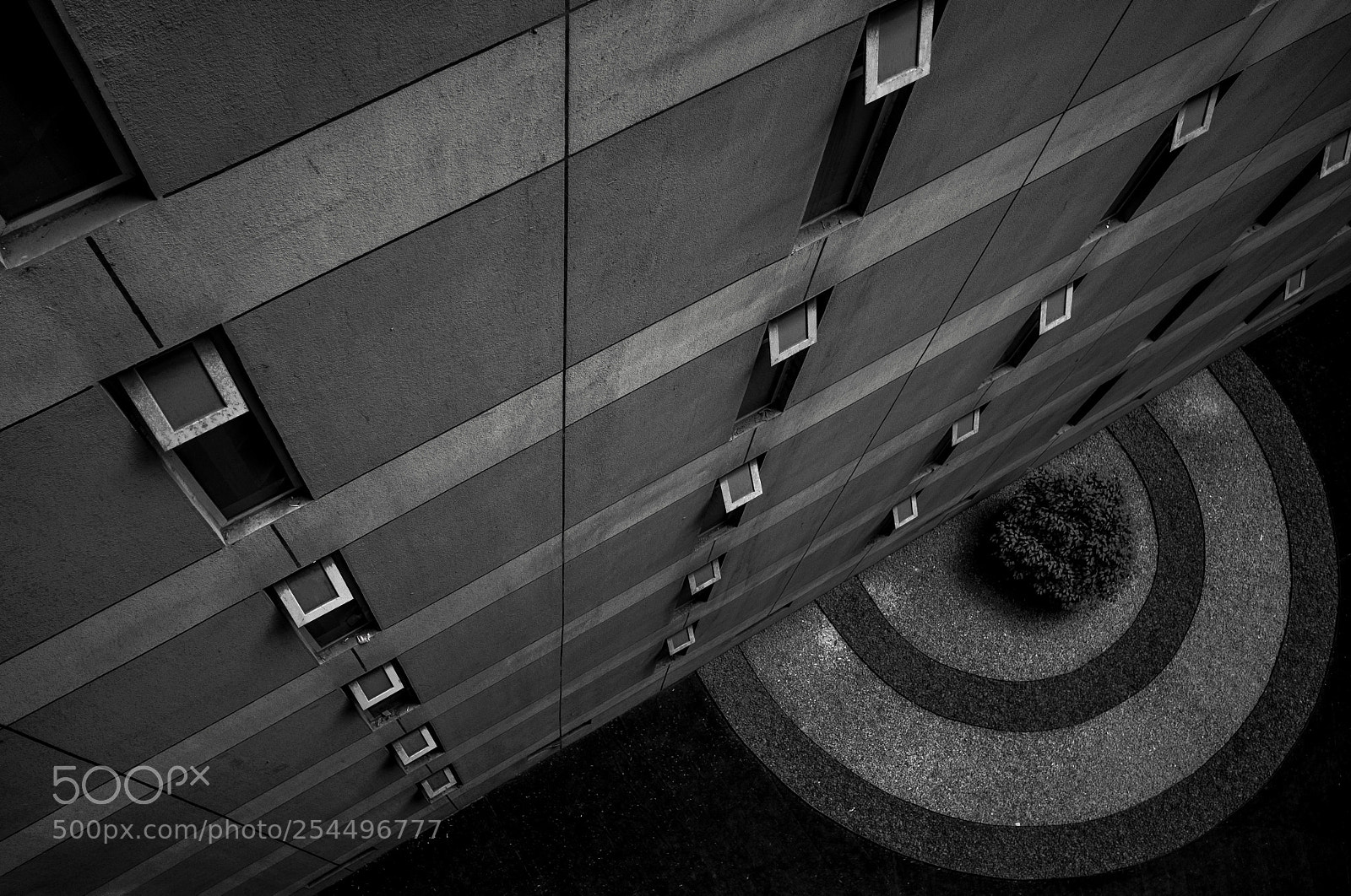 Fujifilm X-E1 sample photo. ... photography