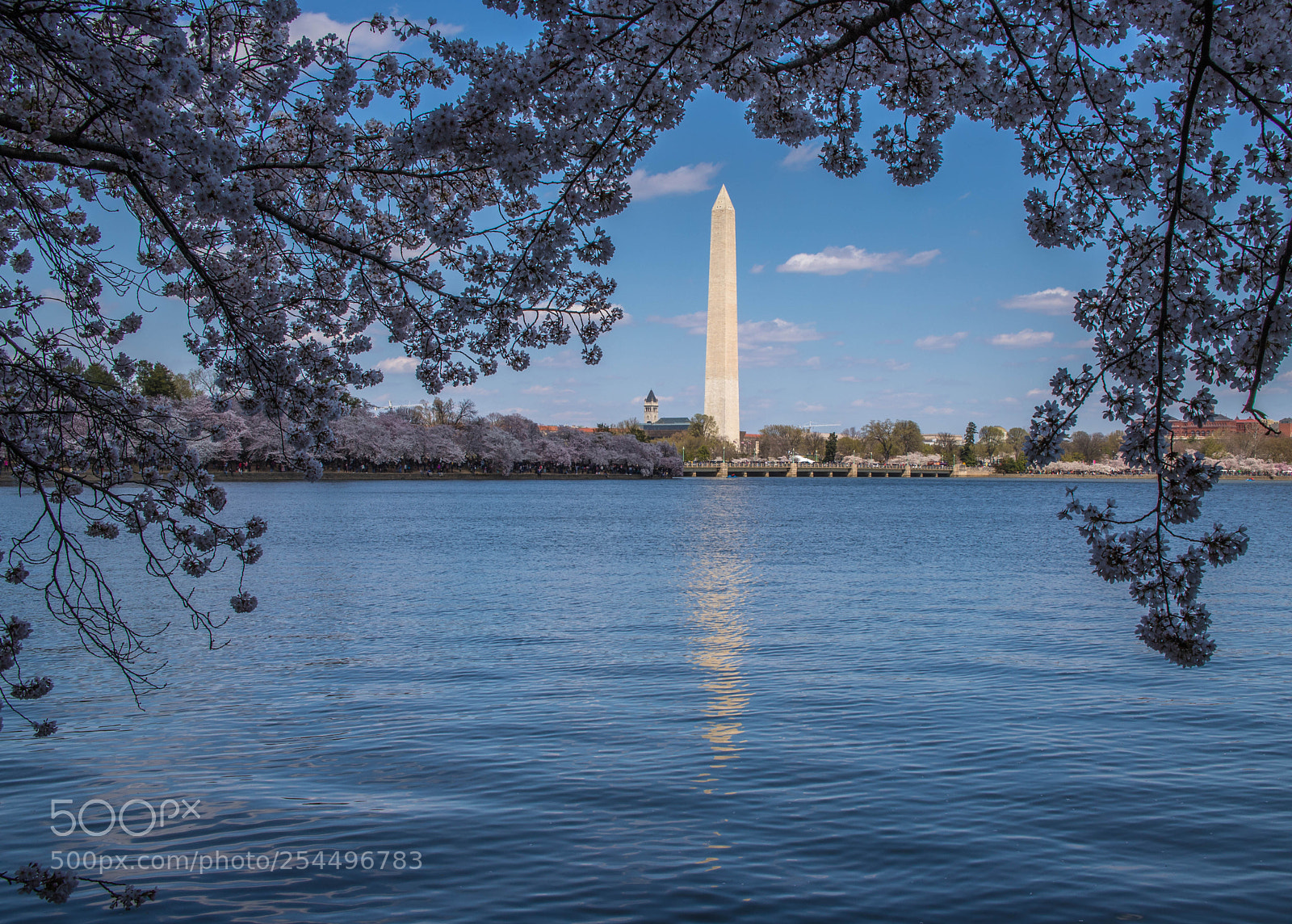 Canon EOS 6D Mark II sample photo. Tidal basion, washington dc photography