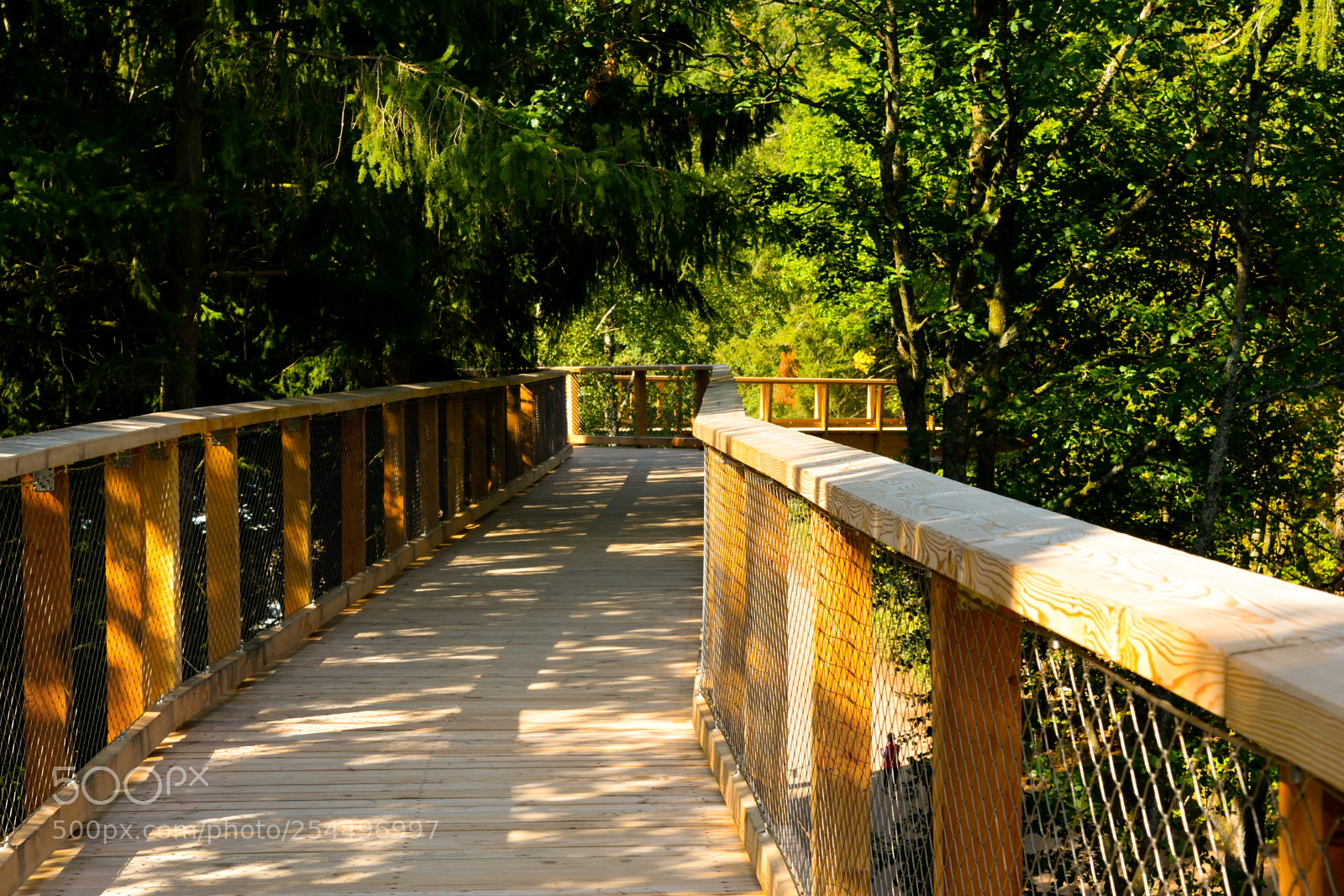 Nikon D3300 sample photo. Saarschliefe bridge photography