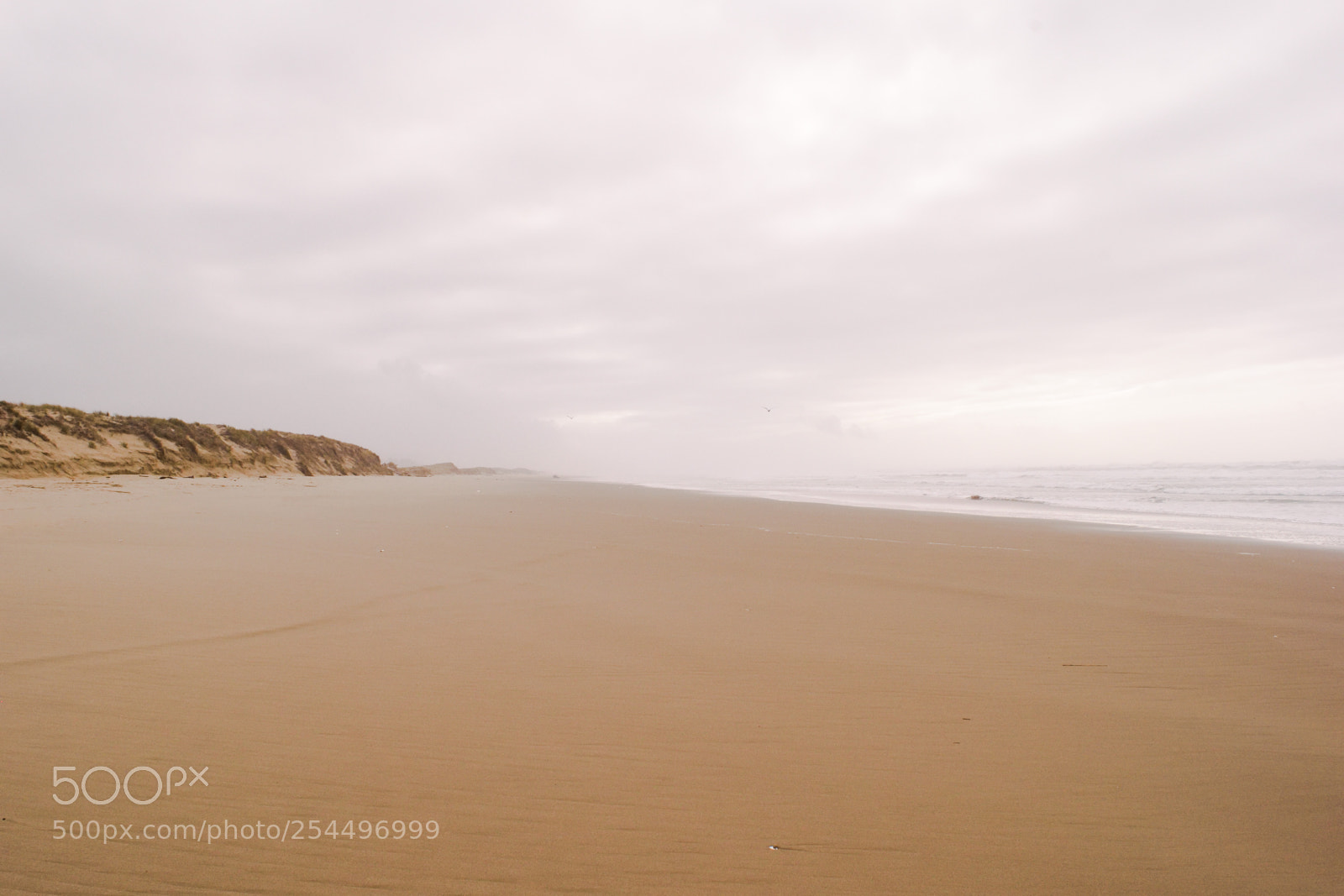 Nikon D3300 sample photo. Coastal sandscape photography