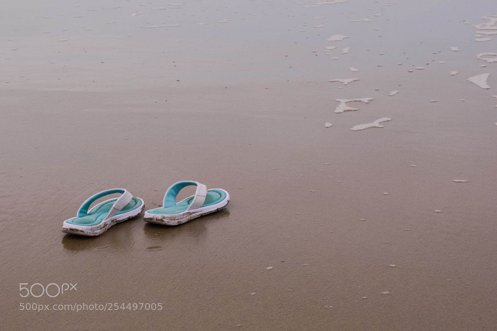 Nikon D3300 sample photo. Taking a beach walk photography