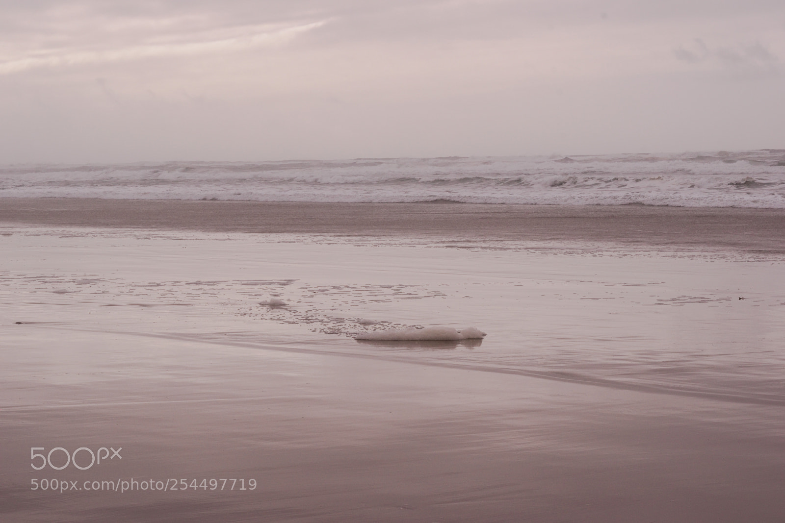 Nikon D3300 sample photo. Coastal oregon photography