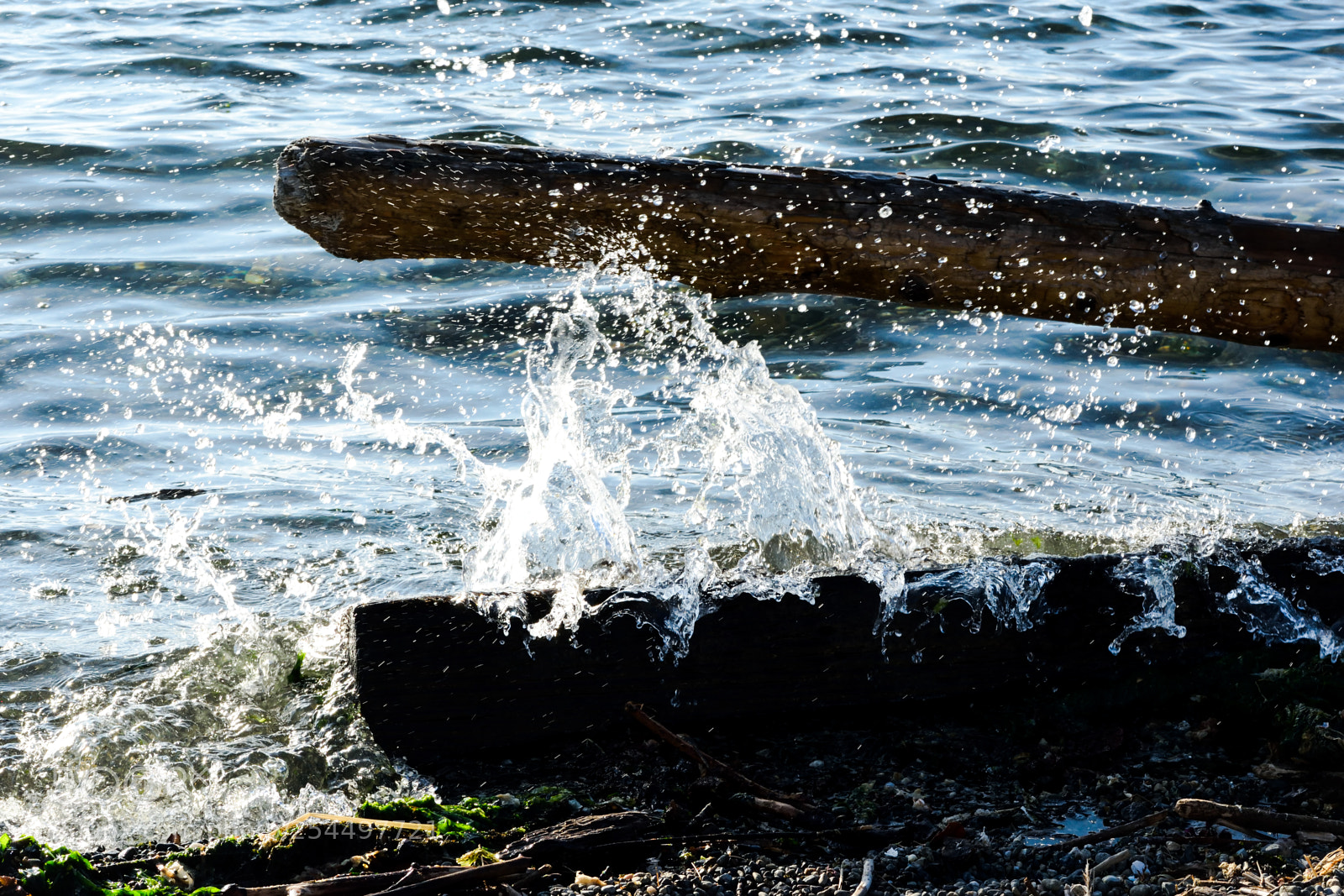 Nikon D3300 sample photo. Log wave crashing photography