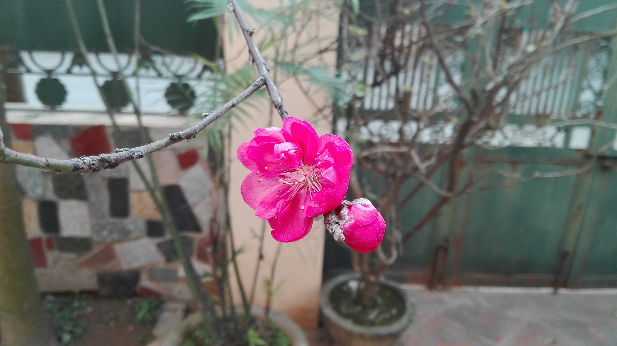 HUAWEI CHM-U01 sample photo. The tet spirit of all time photography