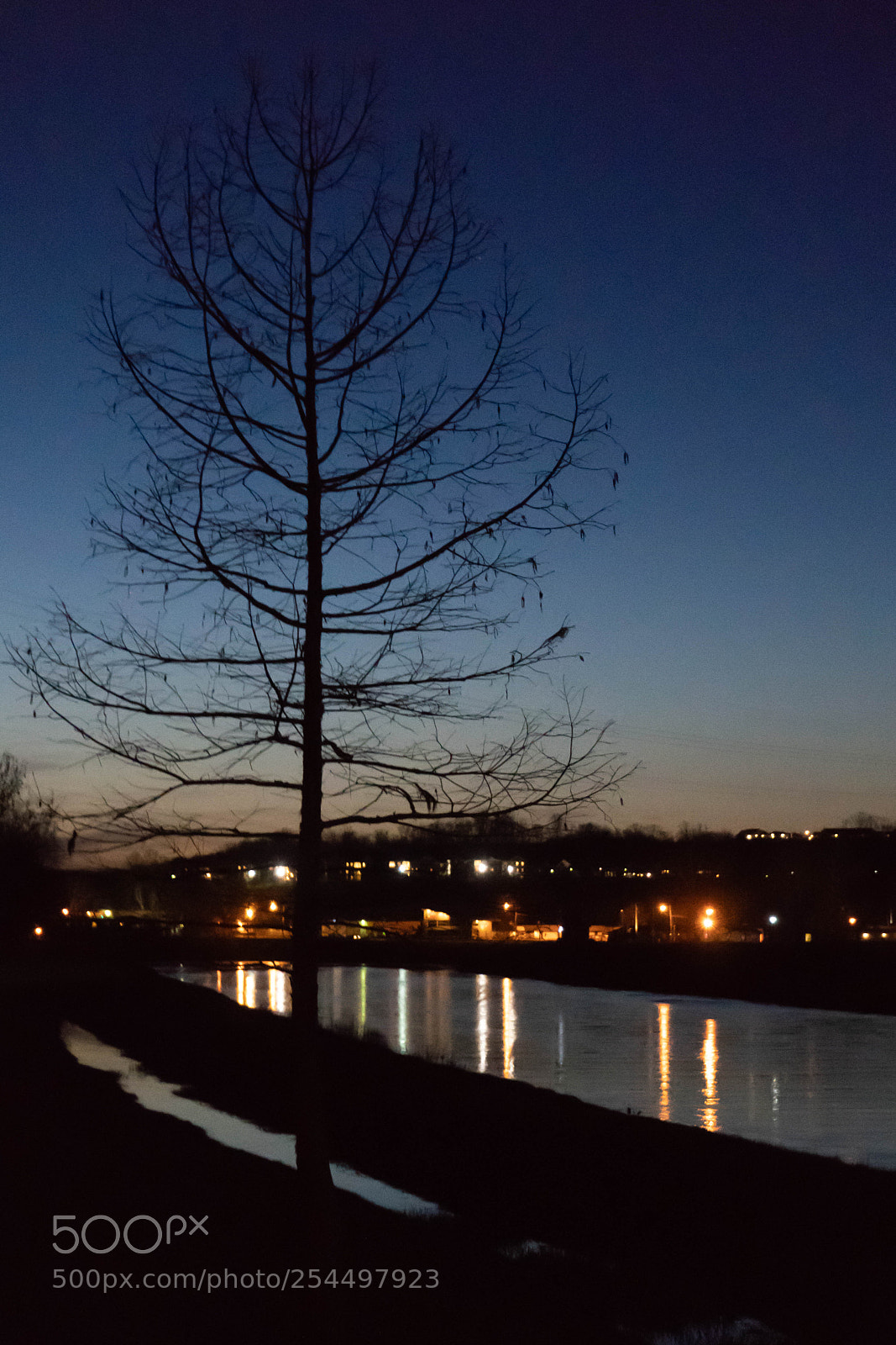 Sony a7 III sample photo. Reflection photography