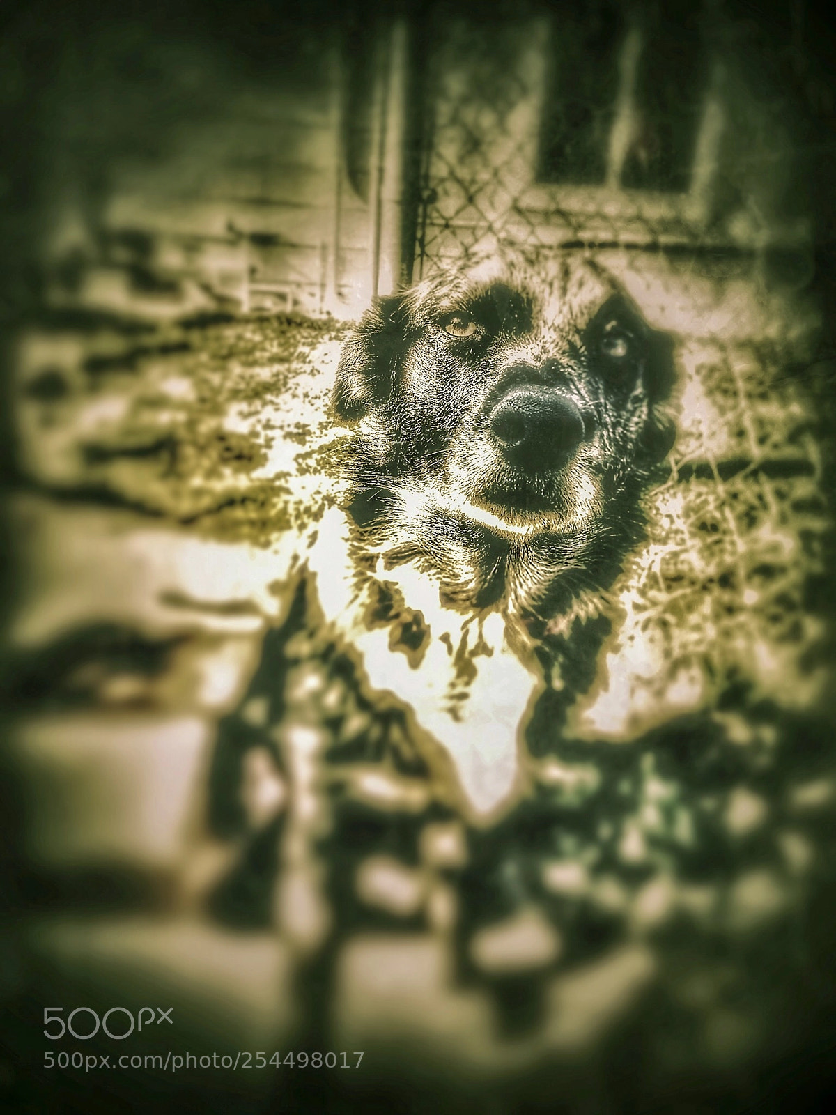 Apple iPhone 5s sample photo. Untitled photography