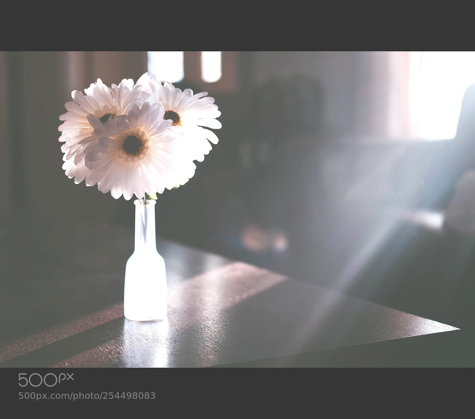 Fujifilm X-T1 sample photo. Untitled photography