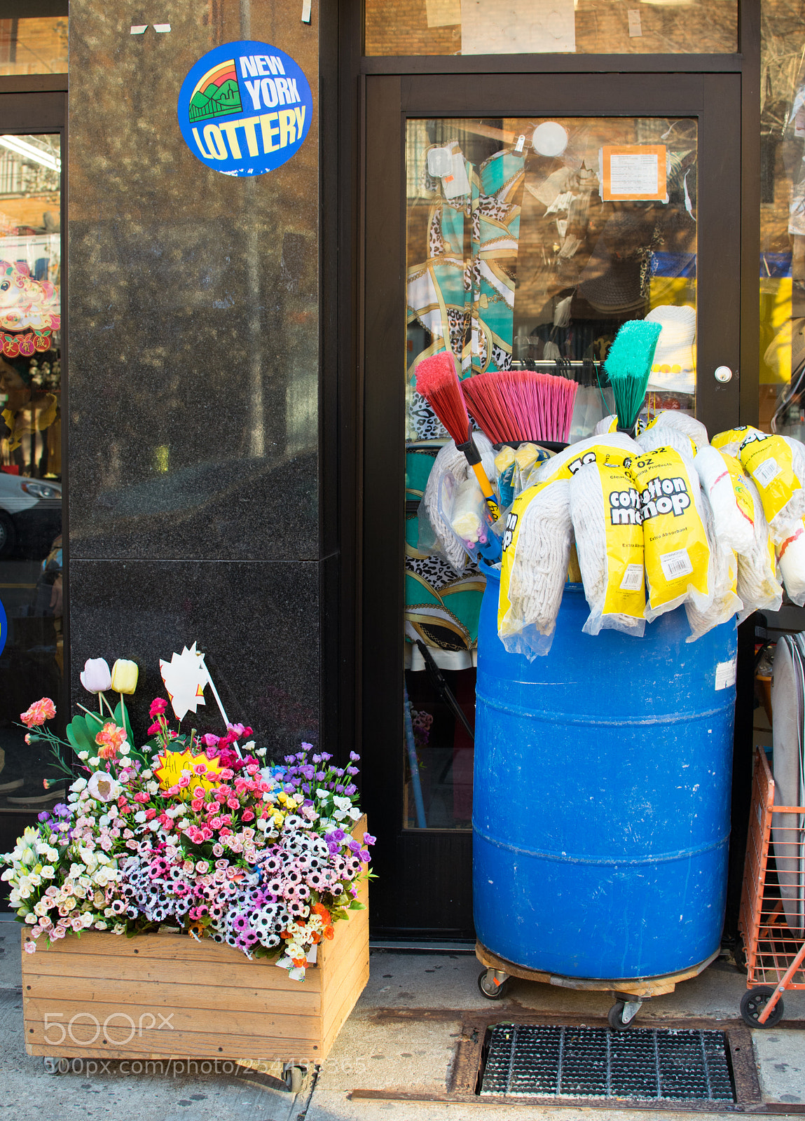 Nikon D5300 sample photo. Flowers and mops photography