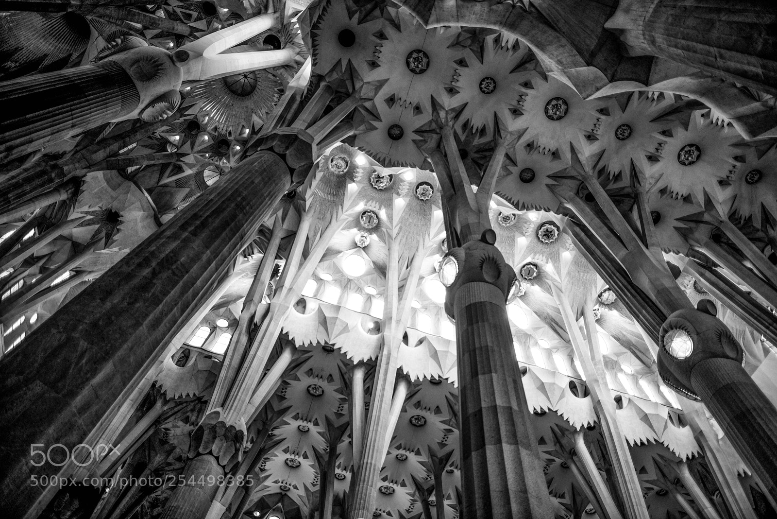 Nikon D810 sample photo. Sagrada familia photography