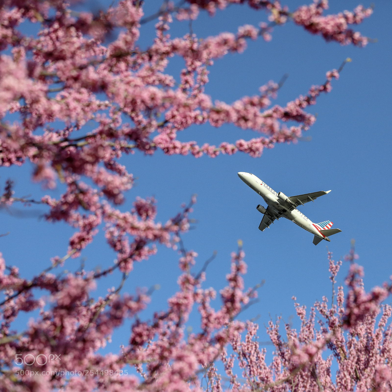 Canon EOS 5D Mark IV sample photo. Transient. photography