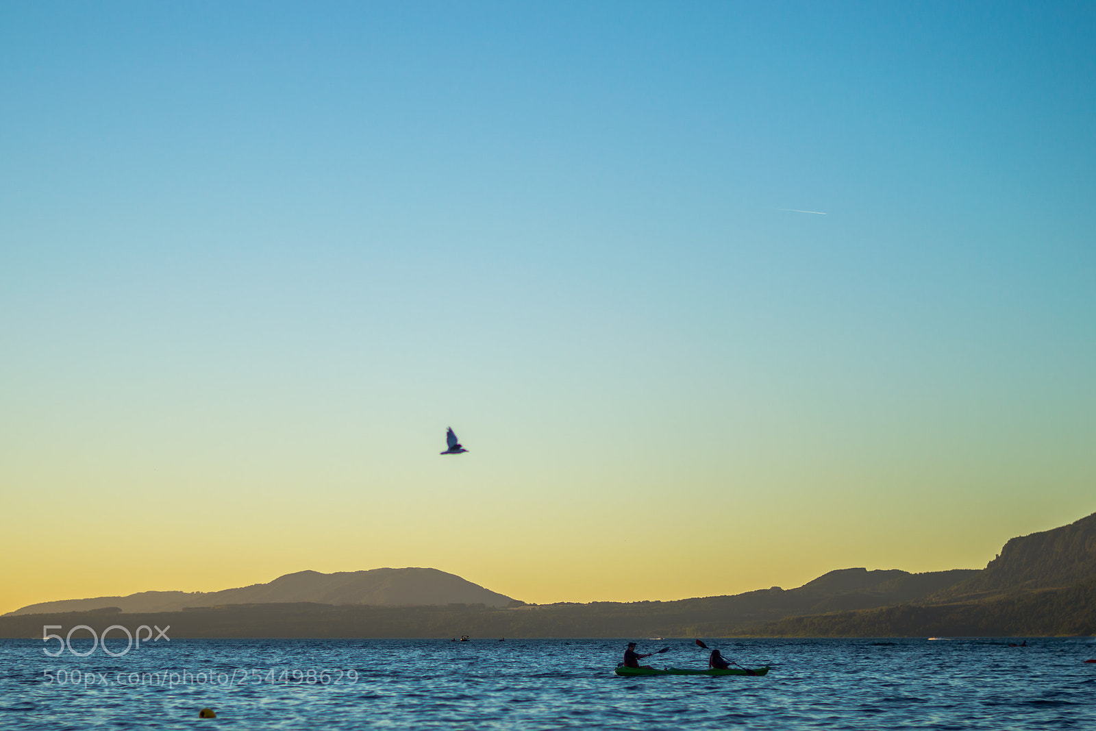 Nikon D3200 sample photo. Be free photography