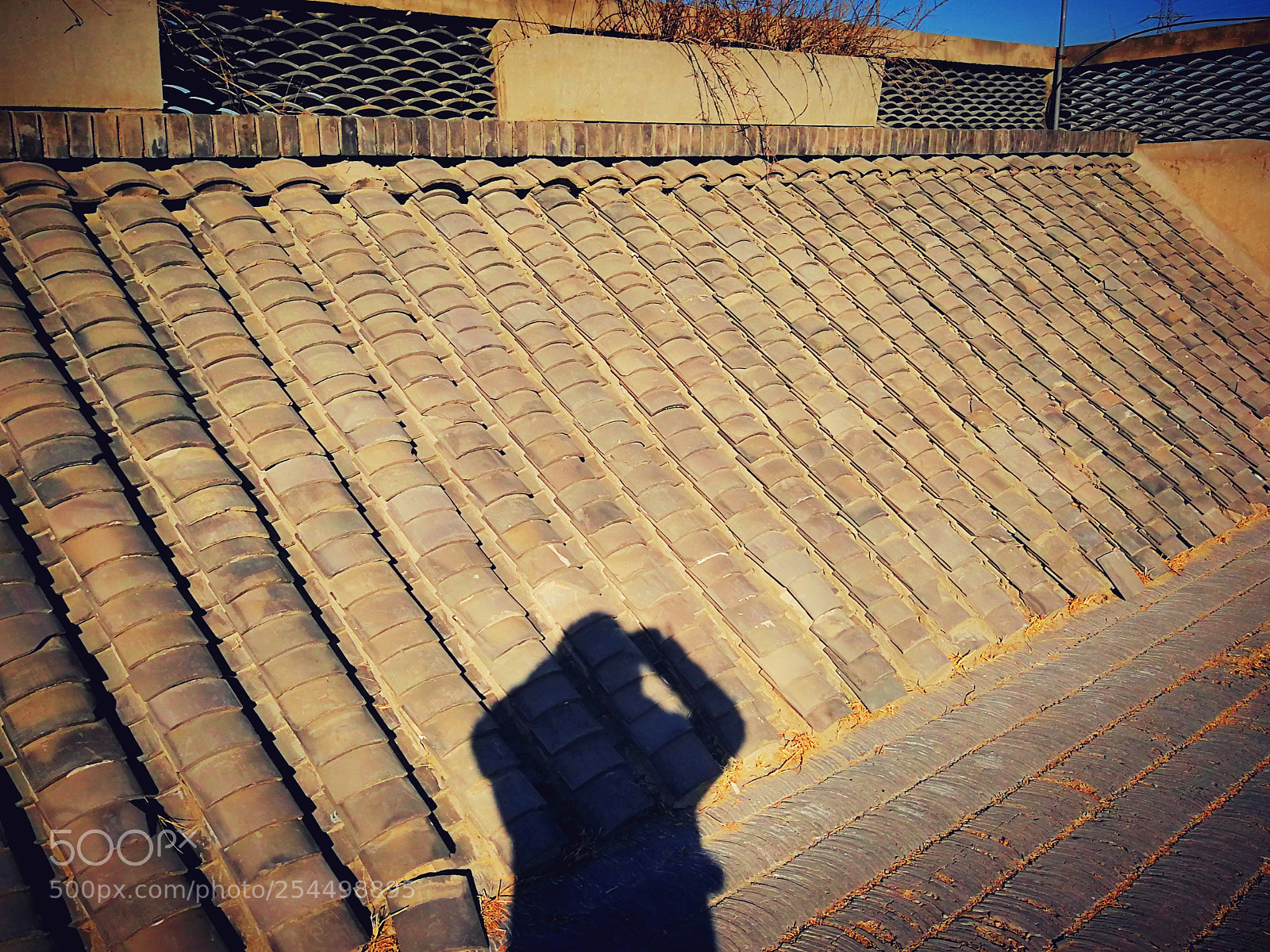 HUAWEI Mate 9 sample photo. Untitled photography