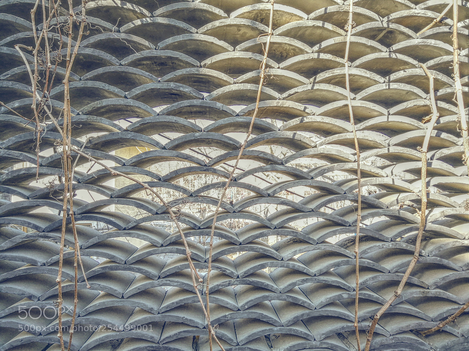 HUAWEI Mate 9 sample photo. Untitled photography