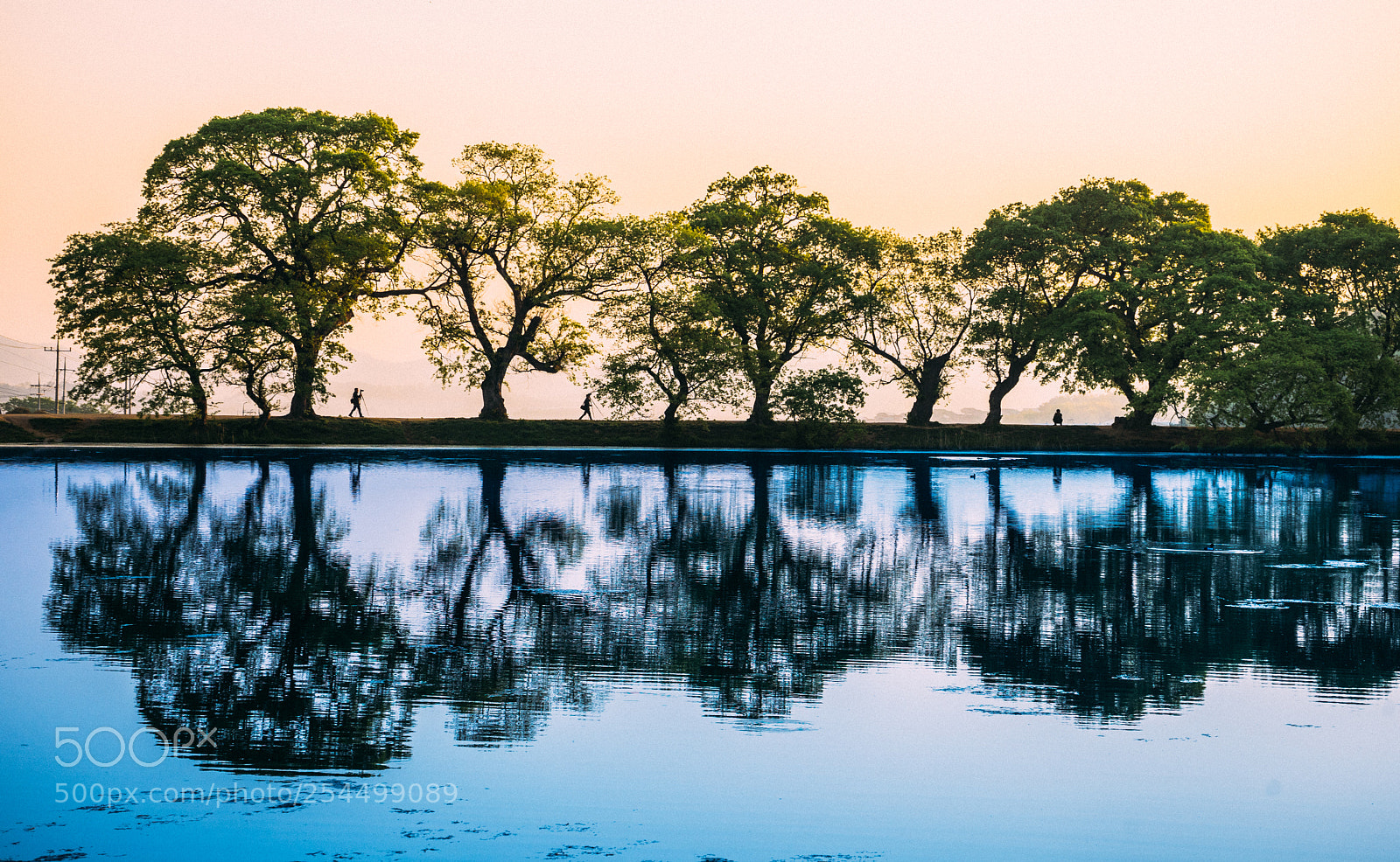 Sony a7 II sample photo. Untitled photography