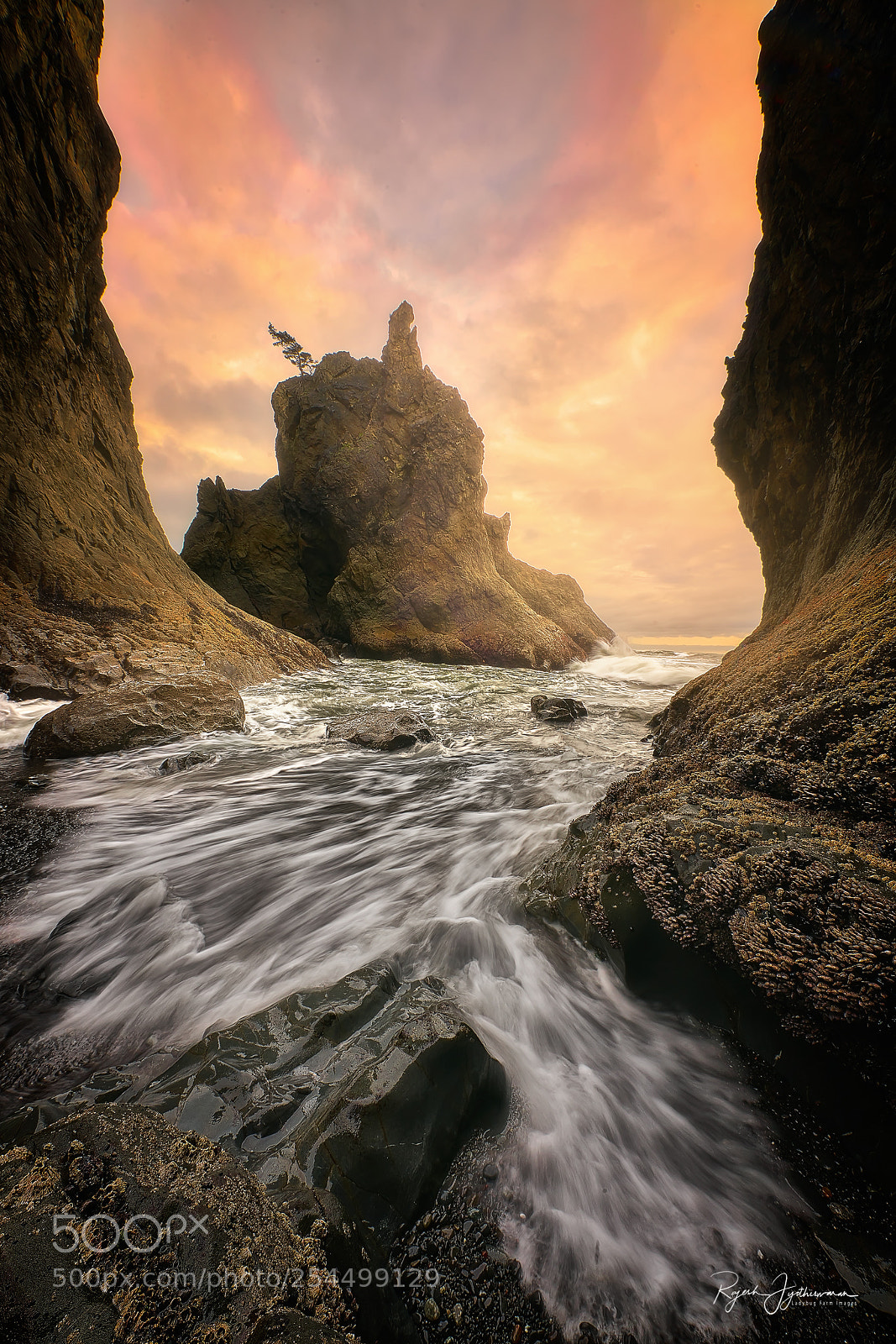 Sony a7R II sample photo. Rush photography