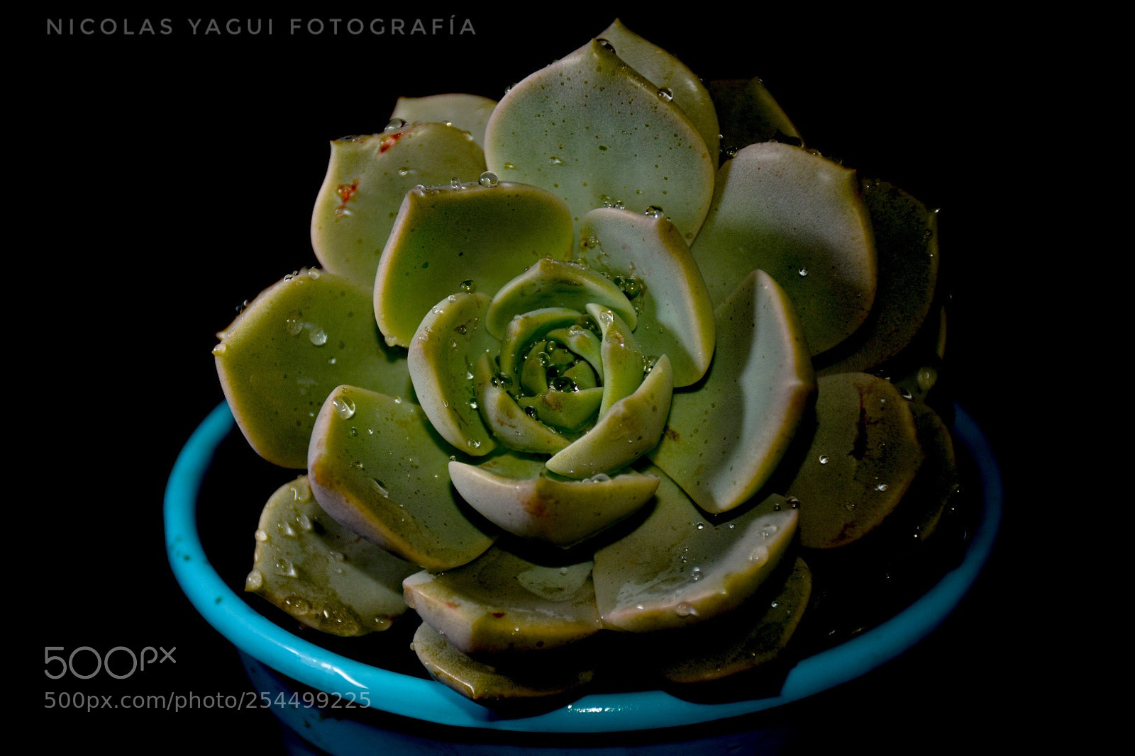 Nikon D7200 sample photo. Clave baja photography