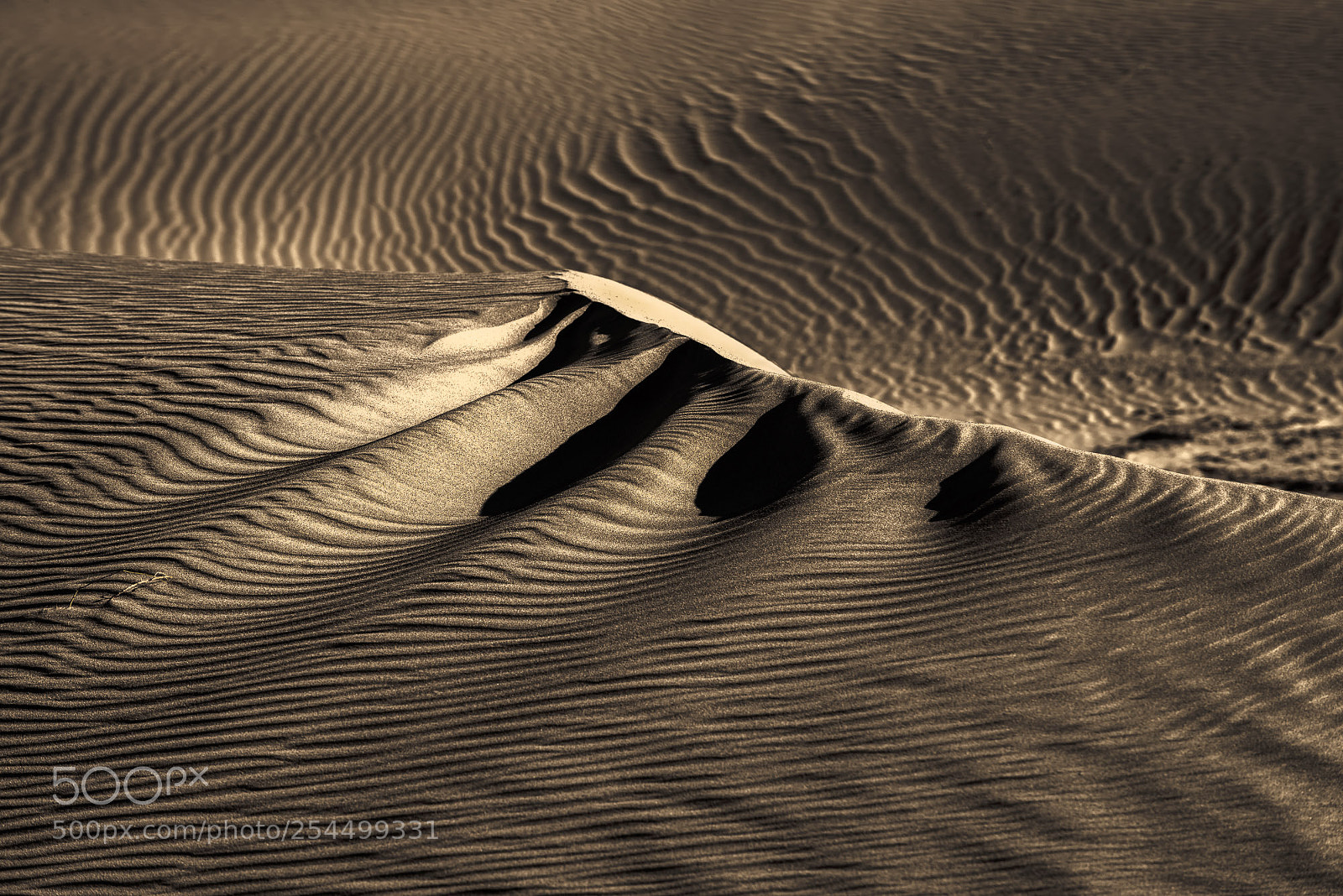 Nikon D800 sample photo. Zen garden in ibex photography