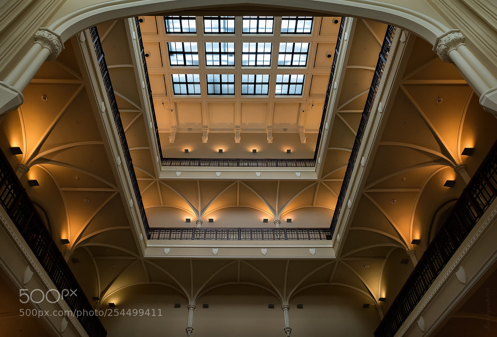 Nikon D810 sample photo. Museum skylight... photography
