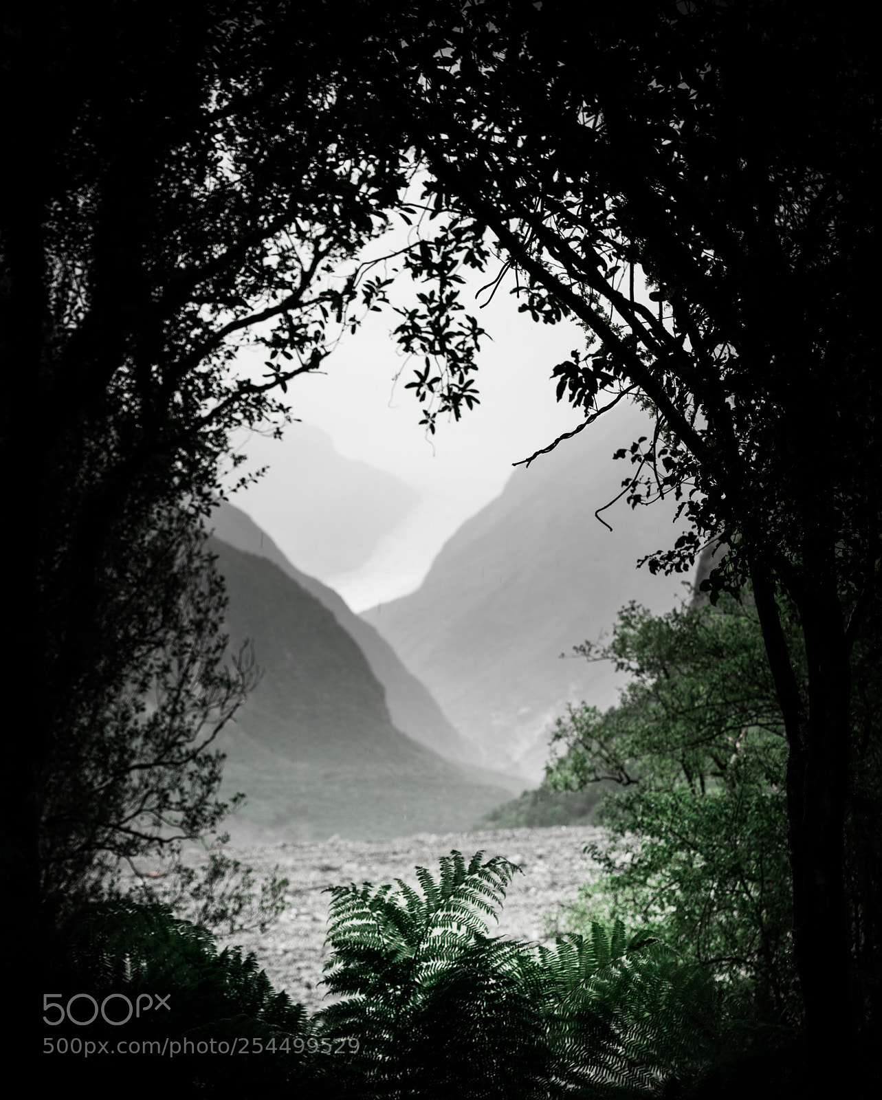 Sony a7R II sample photo. Fox glacier from a photography