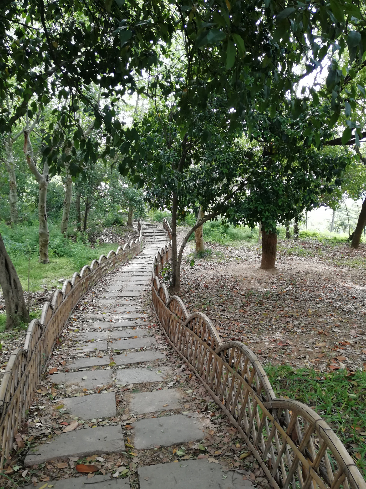 HUAWEI nova 2 Plus sample photo
