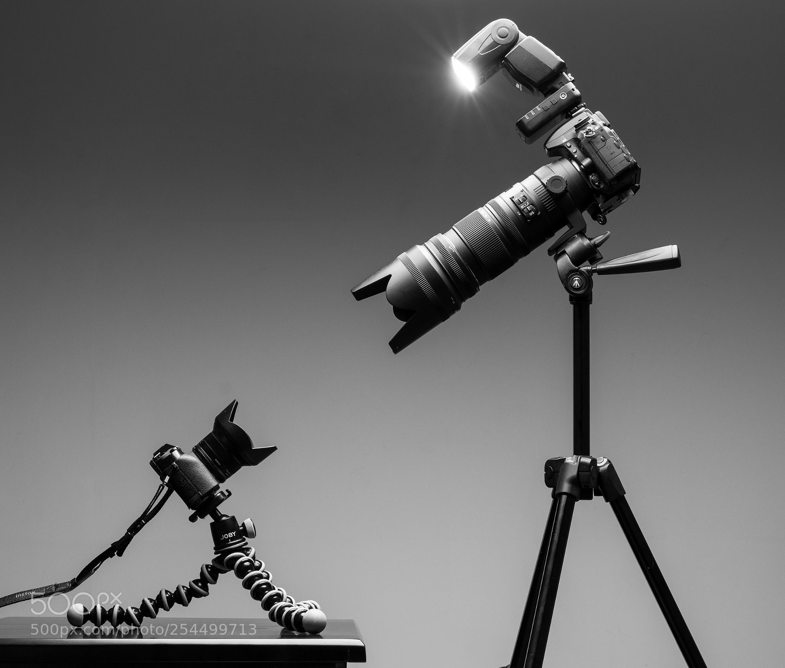 Nikon D7100 sample photo. Versus photography