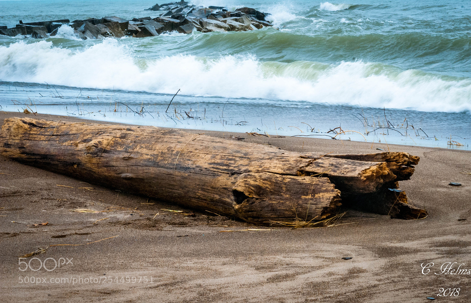 Nikon D200 sample photo. Log at rest photography