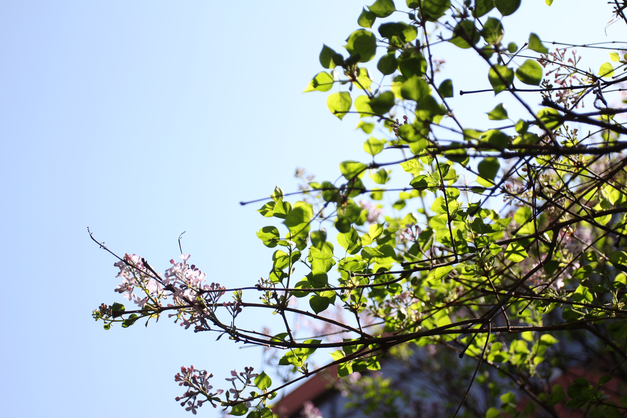 Canon EOS 60D + Canon EF 17-40mm F4L USM sample photo. Truth photography