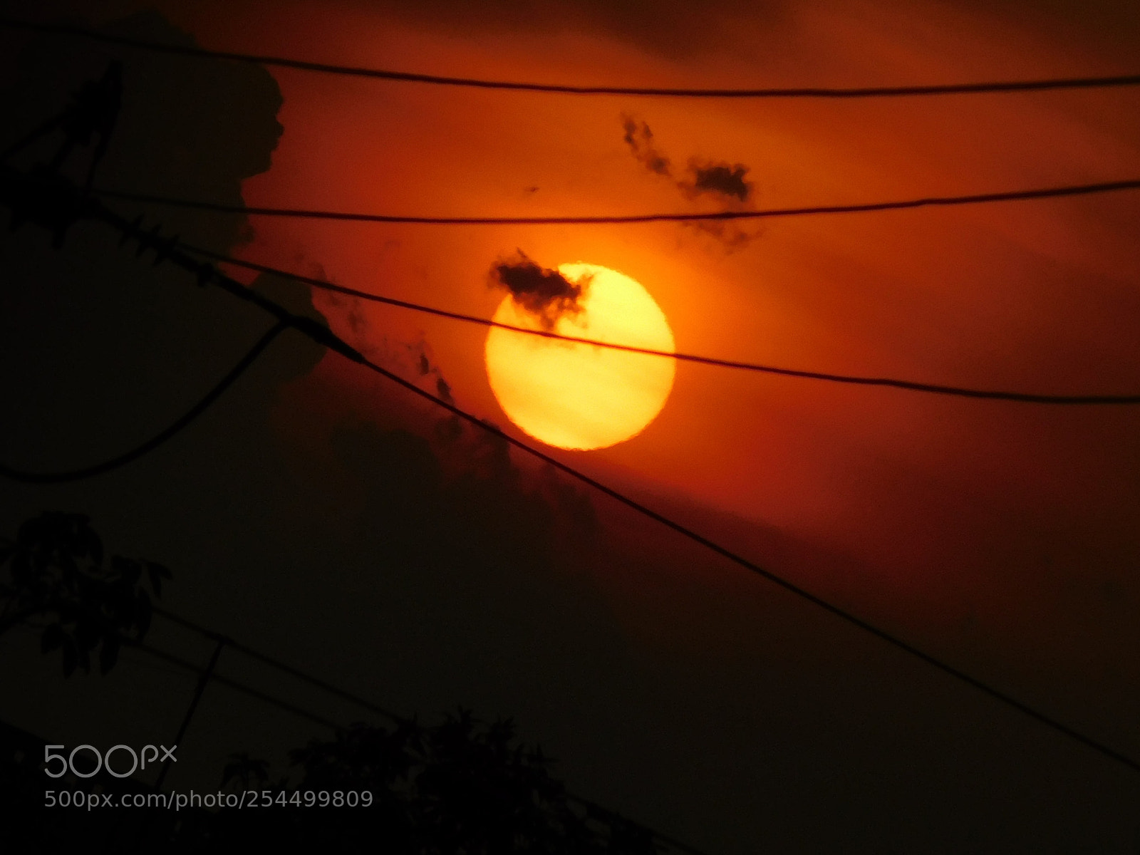 Nikon Coolpix L840 sample photo. Burning sun light photography