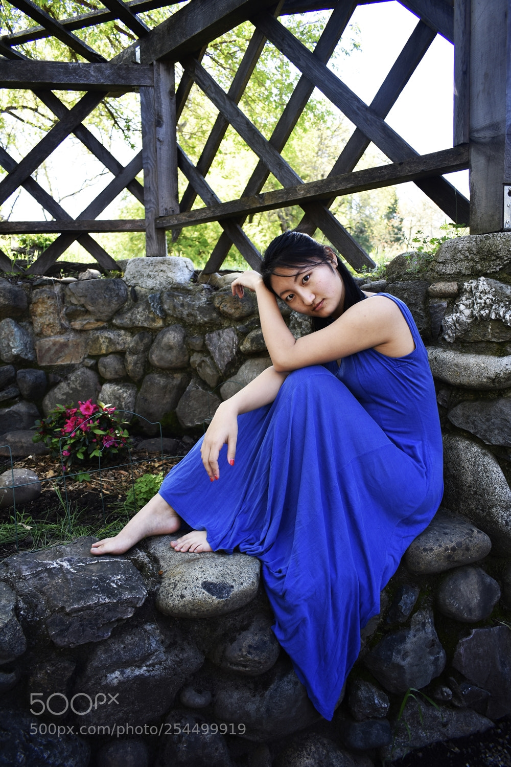 Nikon D3400 sample photo. The blue dress photography