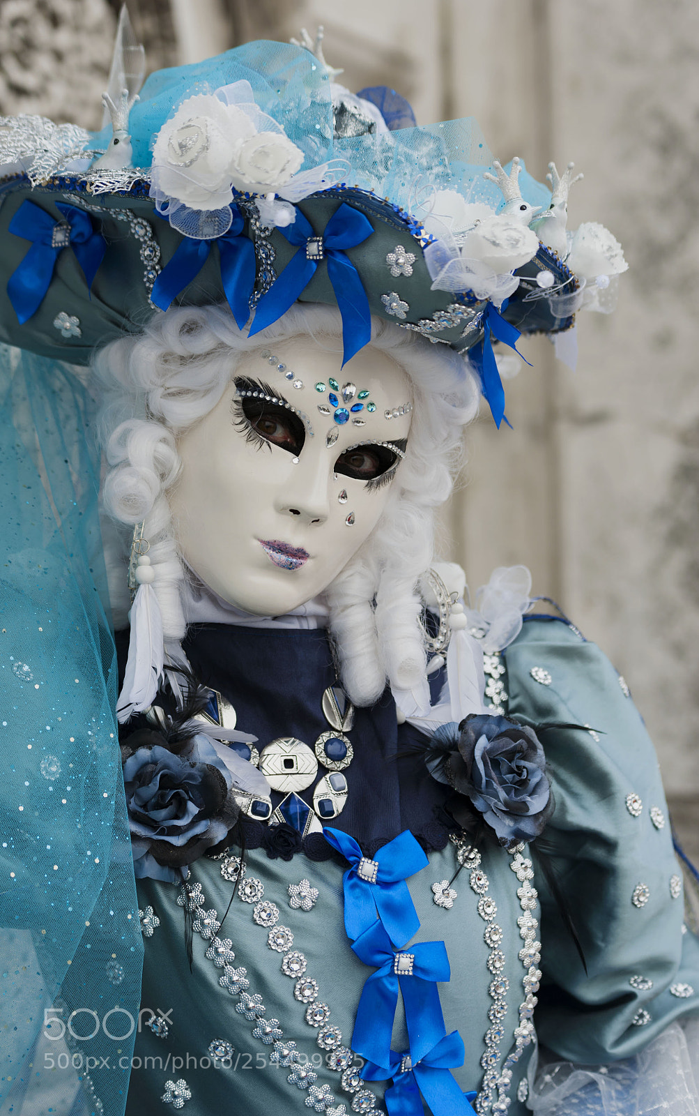 Nikon D700 sample photo. Carnaval  a venise photography