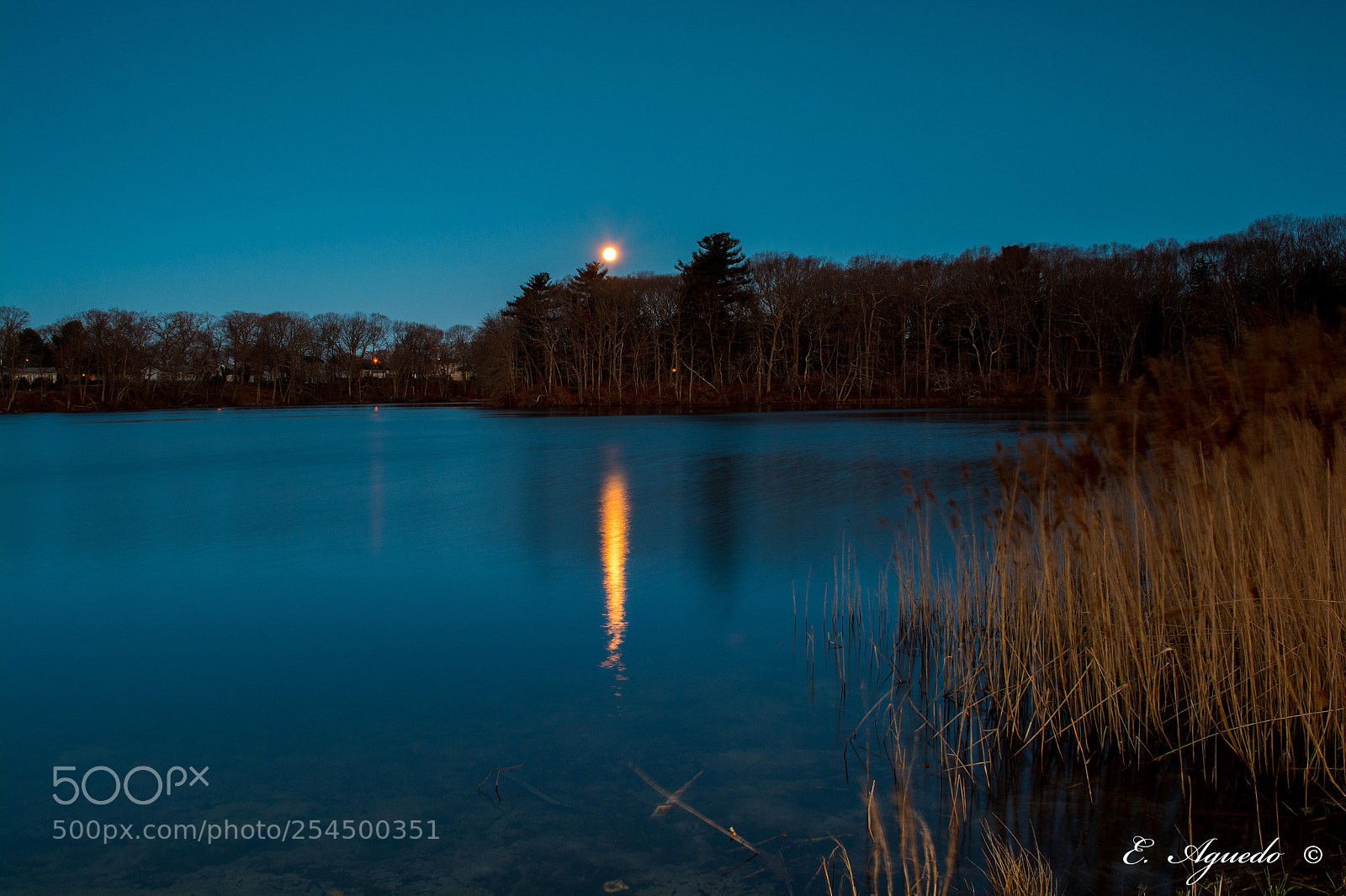 Nikon D5200 sample photo. Moon reflection photography