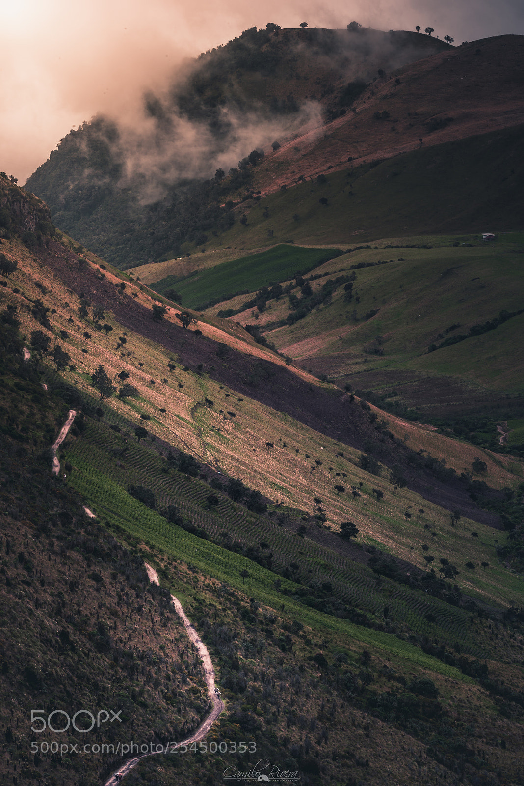 Nikon D810 sample photo. Mountains road photography