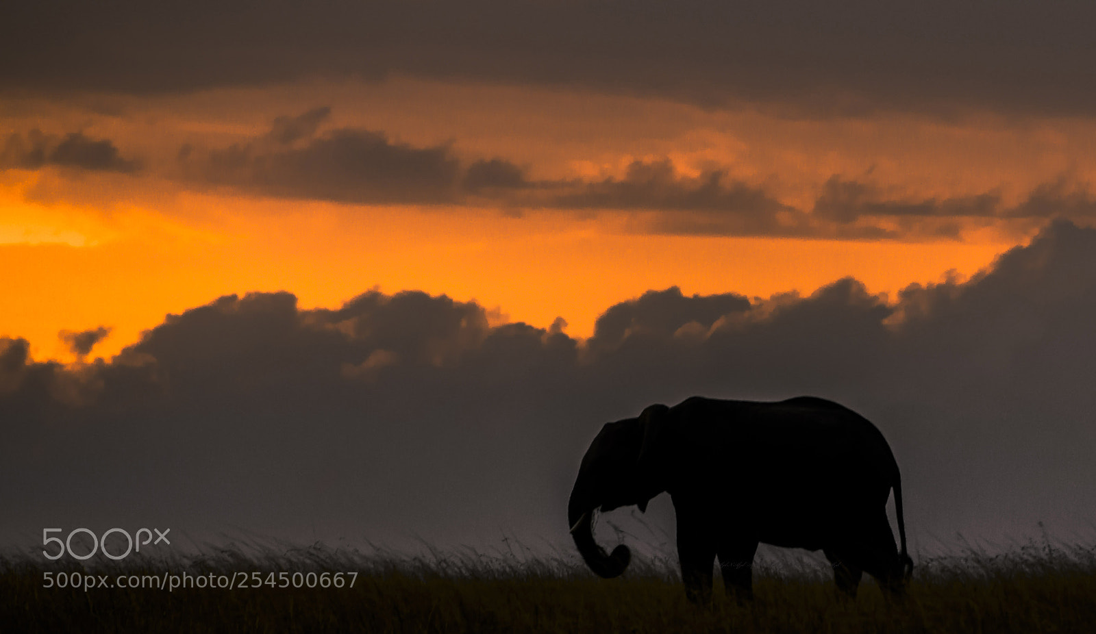 Nikon D810 sample photo. A cloudy dusk photography