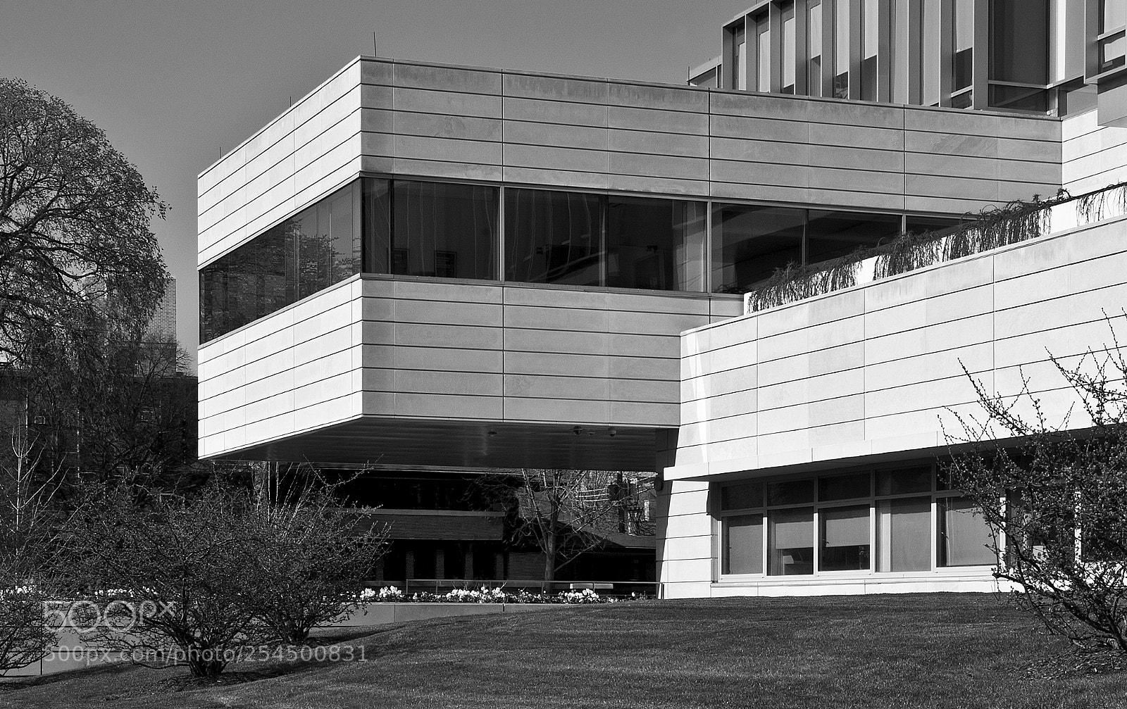 Nikon D700 sample photo. Modern wright; vinoly style photography