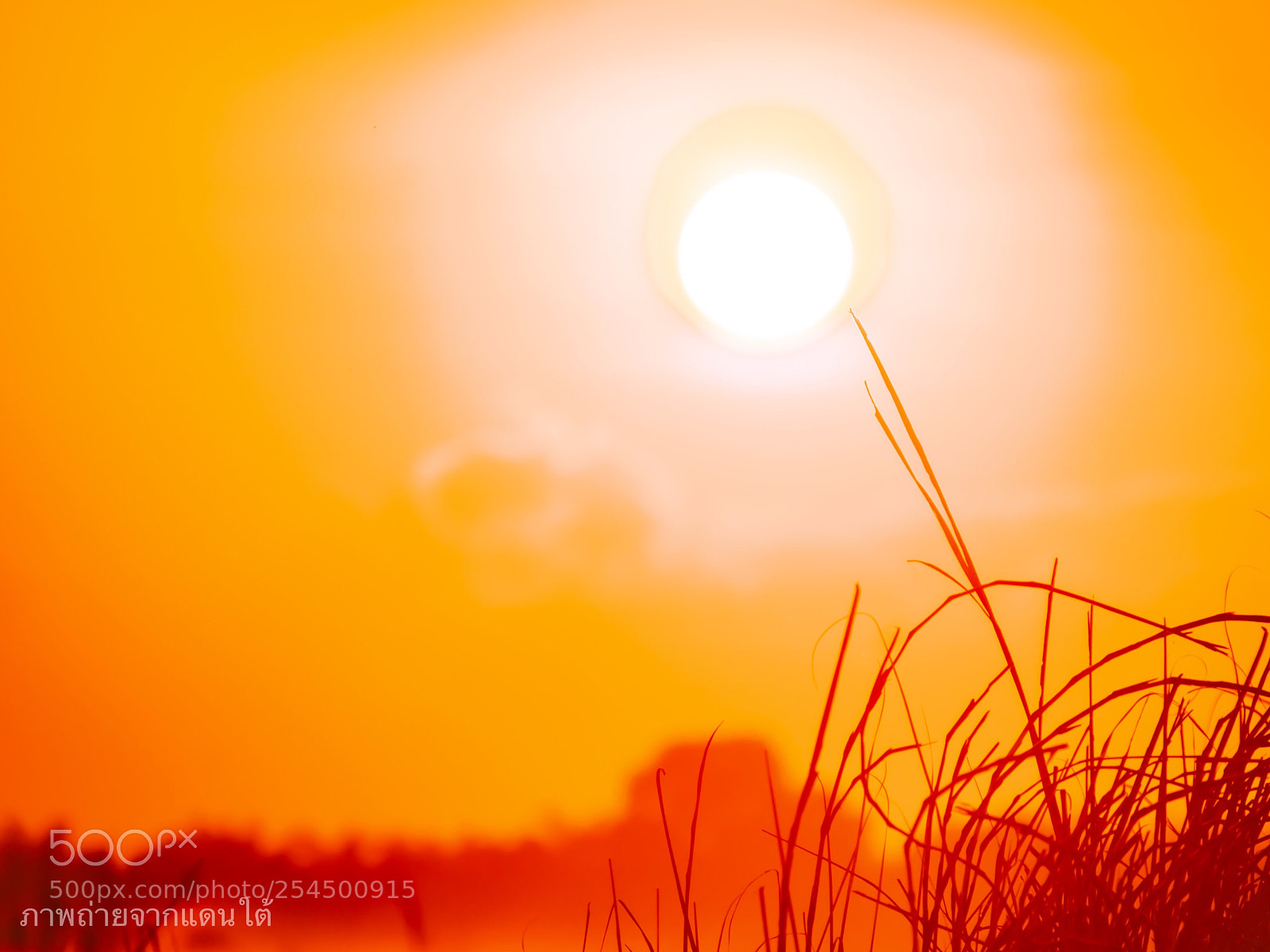 Nikon D800 sample photo. Untitled photography