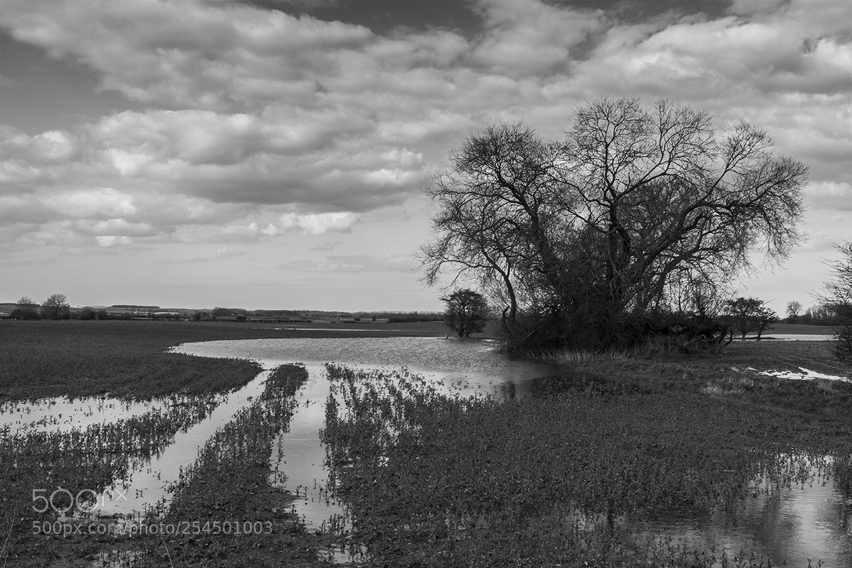 Canon EOS 7D sample photo. Flooded field photography