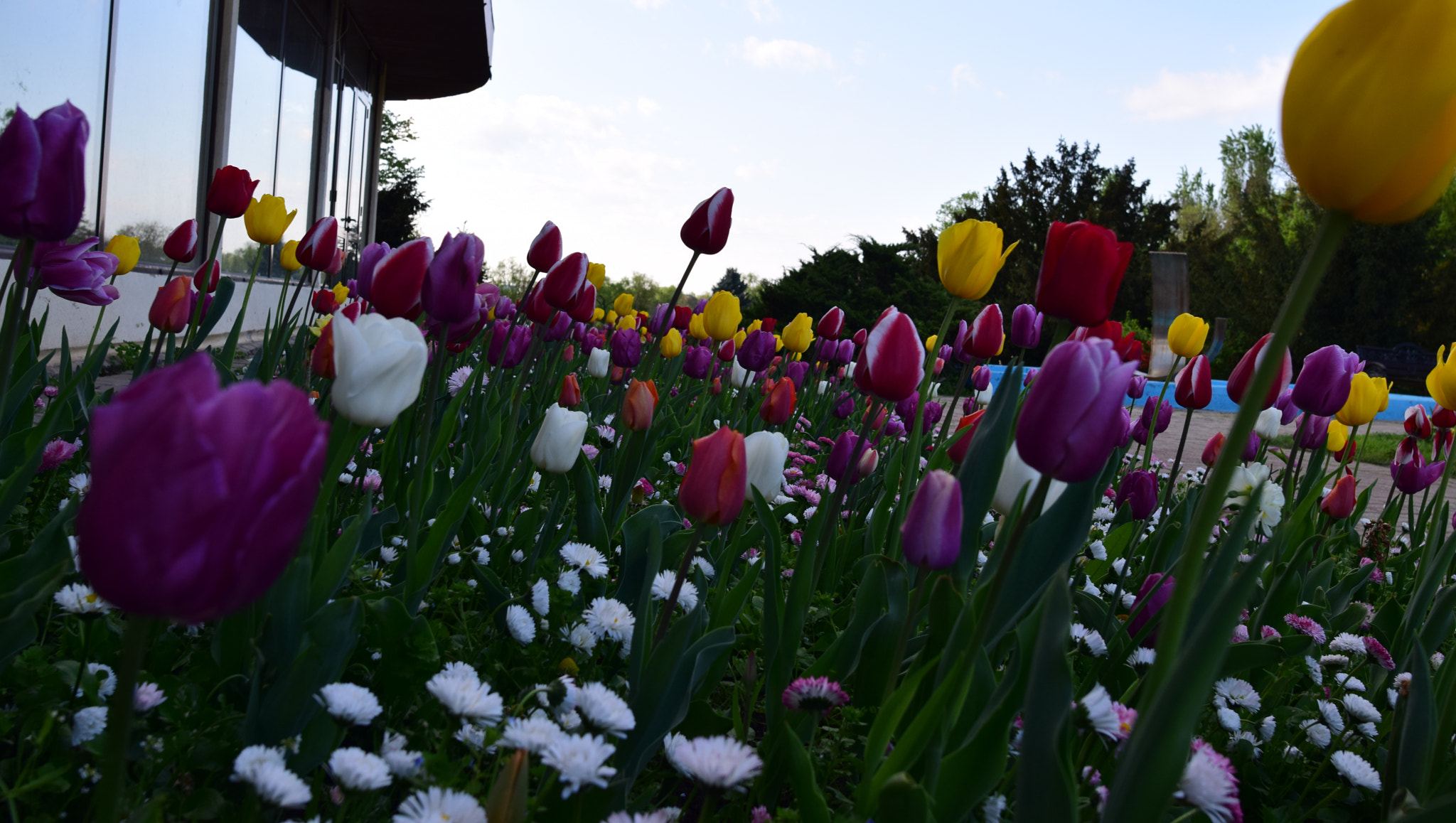 Nikon AF-S Nikkor 20mm F1.8G ED sample photo. Spring photography