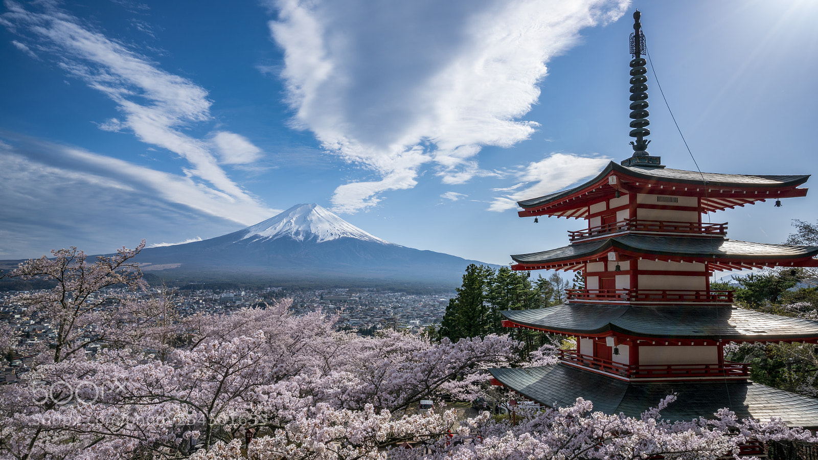 Sony a7R II sample photo. Cherry blossoms photography
