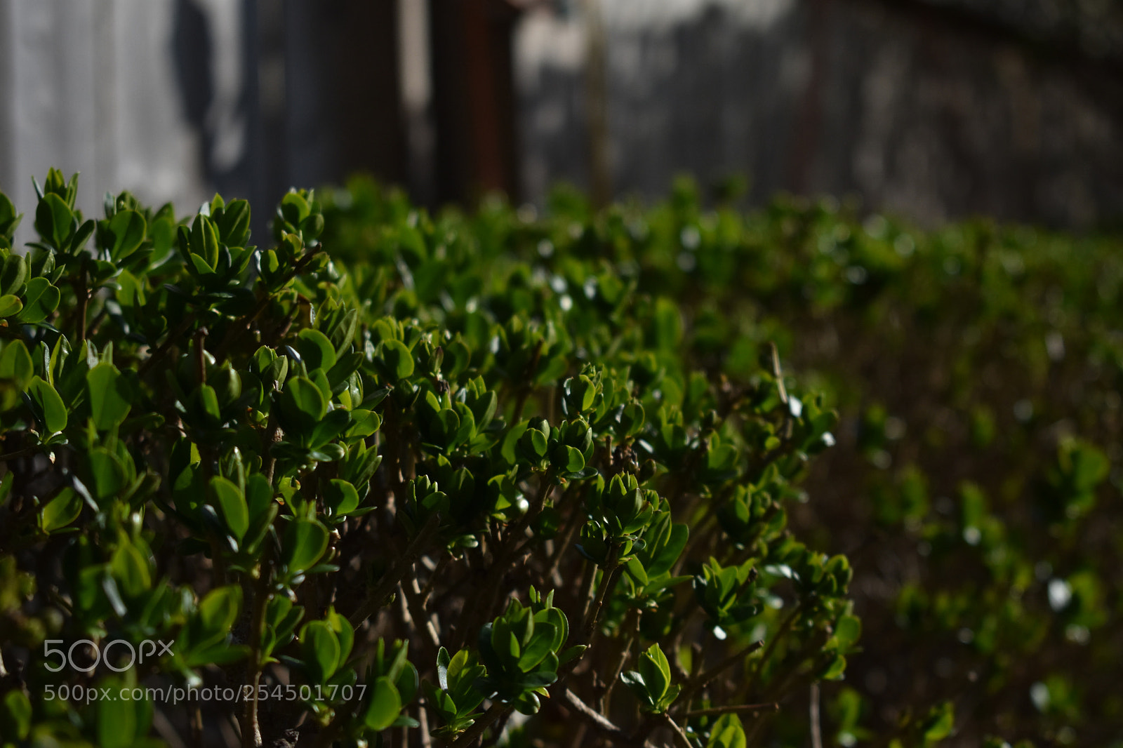 Nikon D3400 sample photo. Misc photography