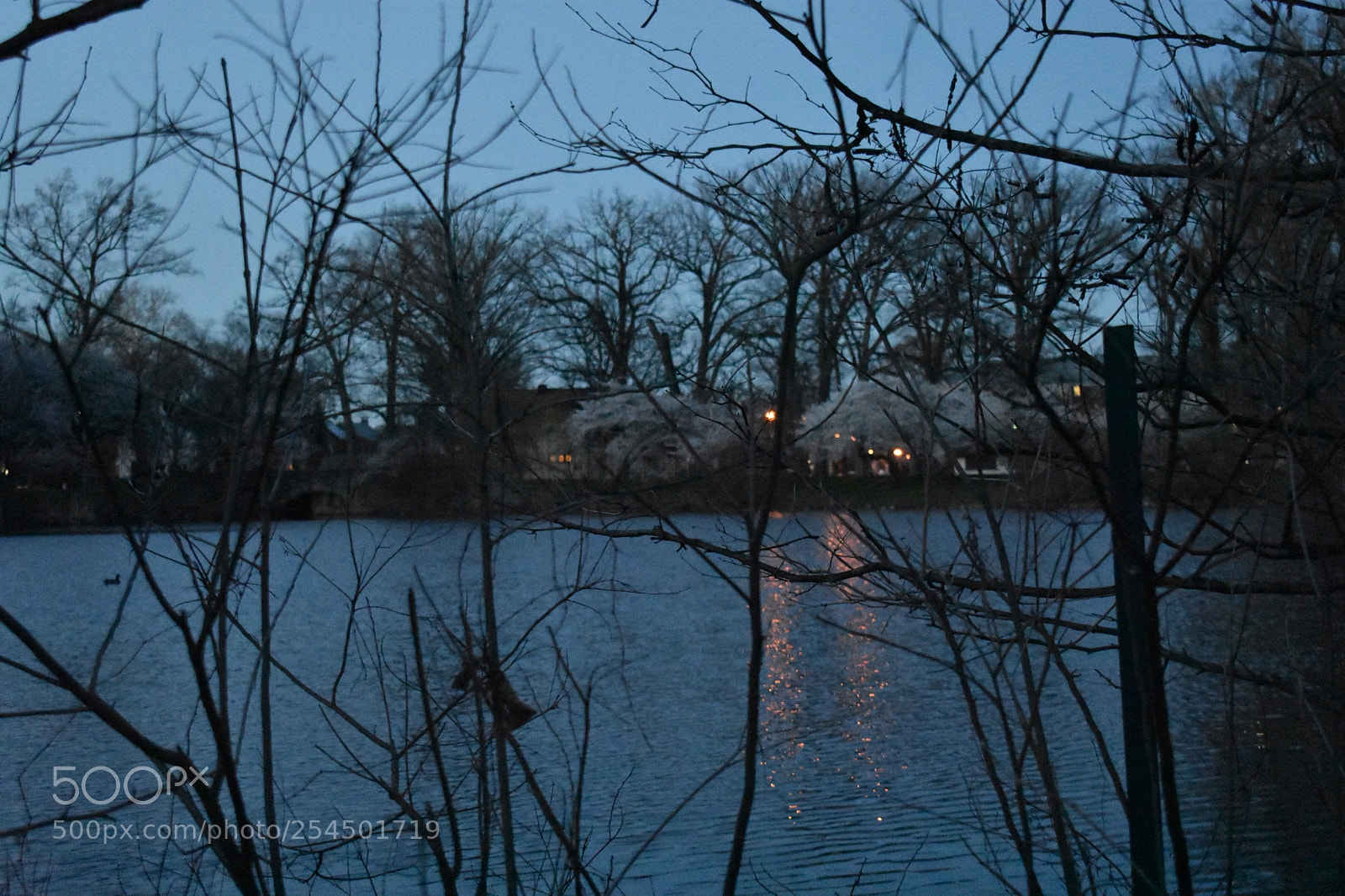 Nikon D3400 sample photo. Misc photography