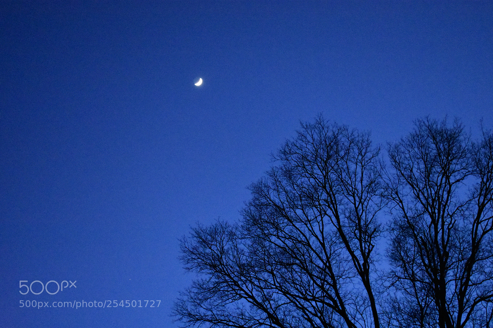 Nikon D3400 sample photo. Misc photography