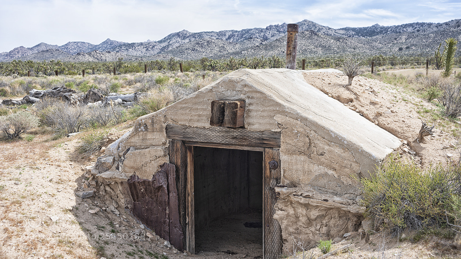 Nikon D800 sample photo. Thomas place corral photography