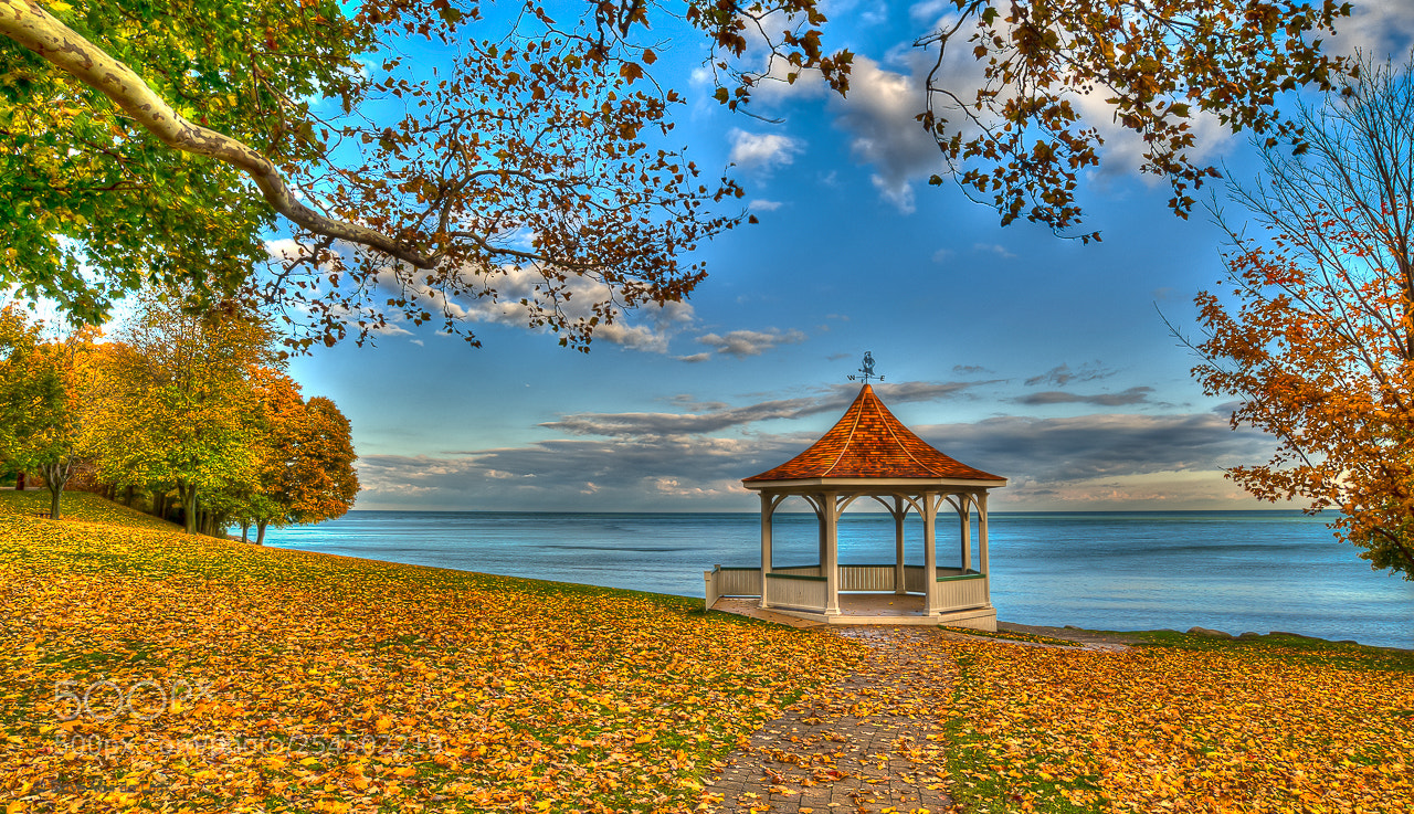 Nikon D3S sample photo. Autumn gazebo photography