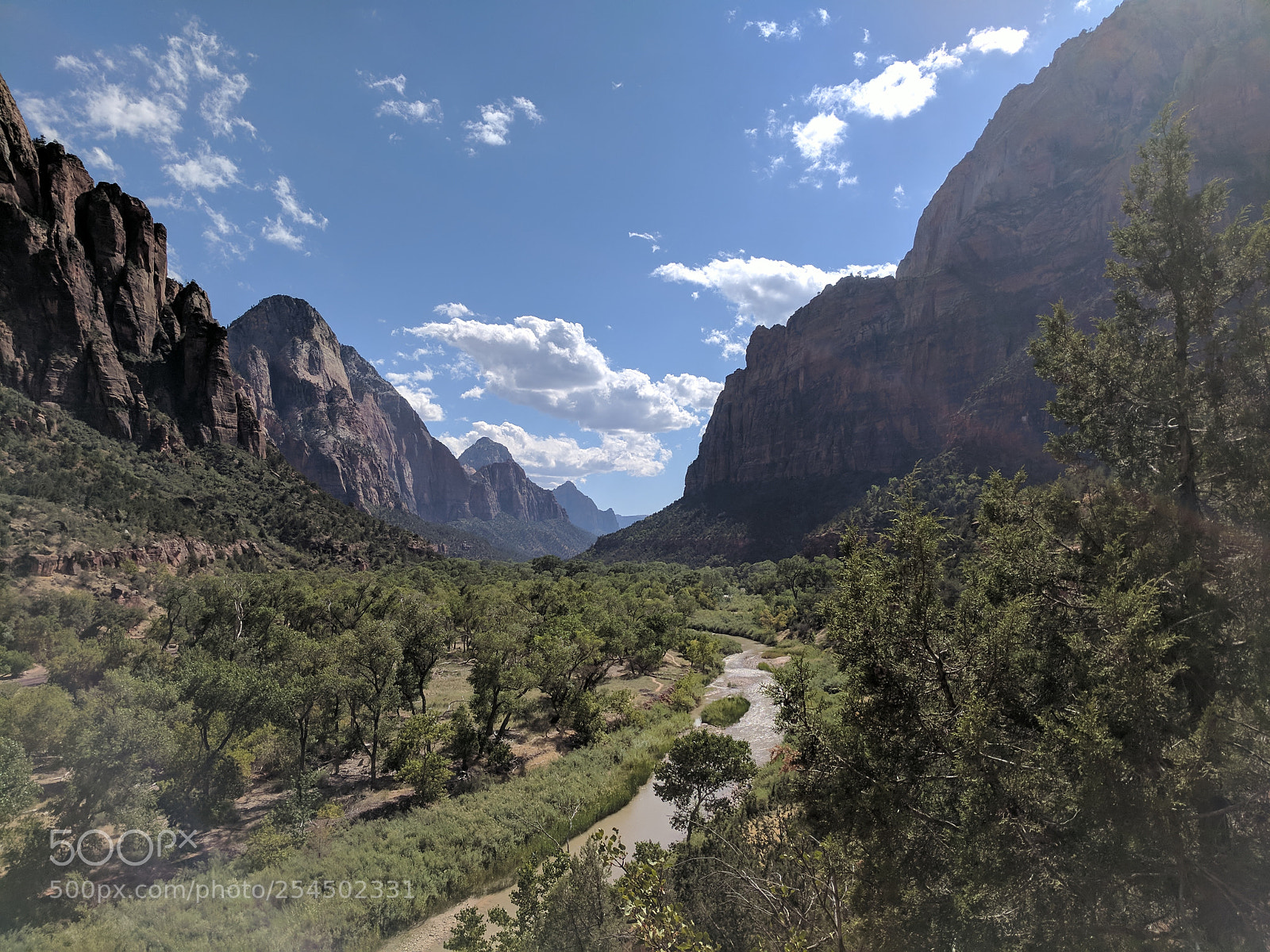 Google Pixel sample photo. Untitled photography
